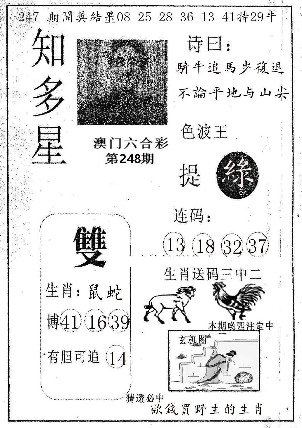 知多星 第248期
