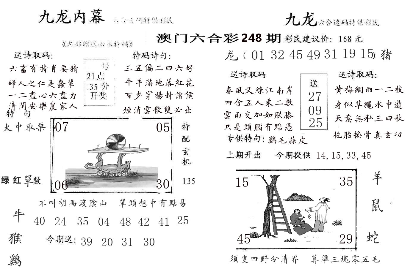 九龙内幕 第248期