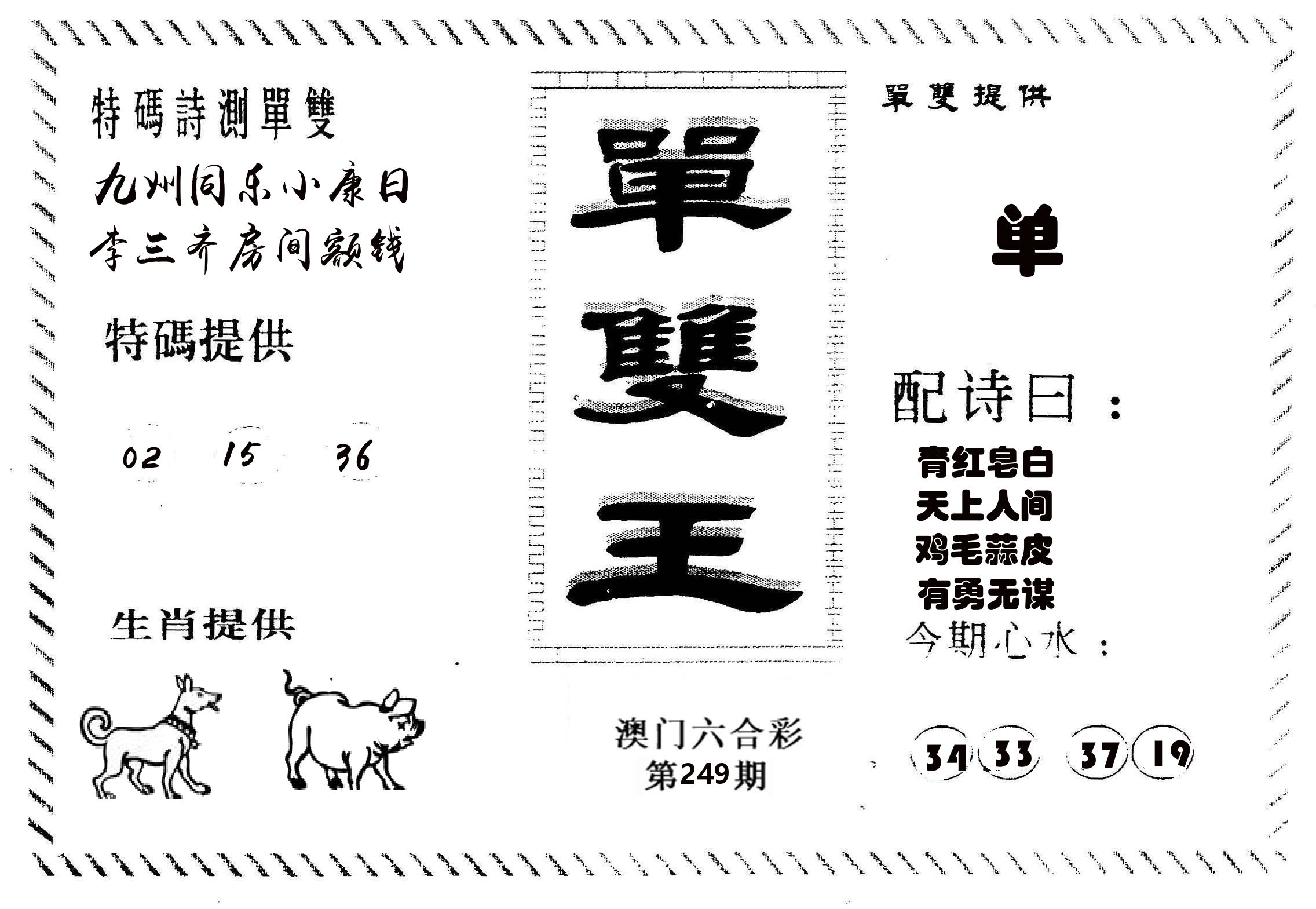 单双王B 第249期