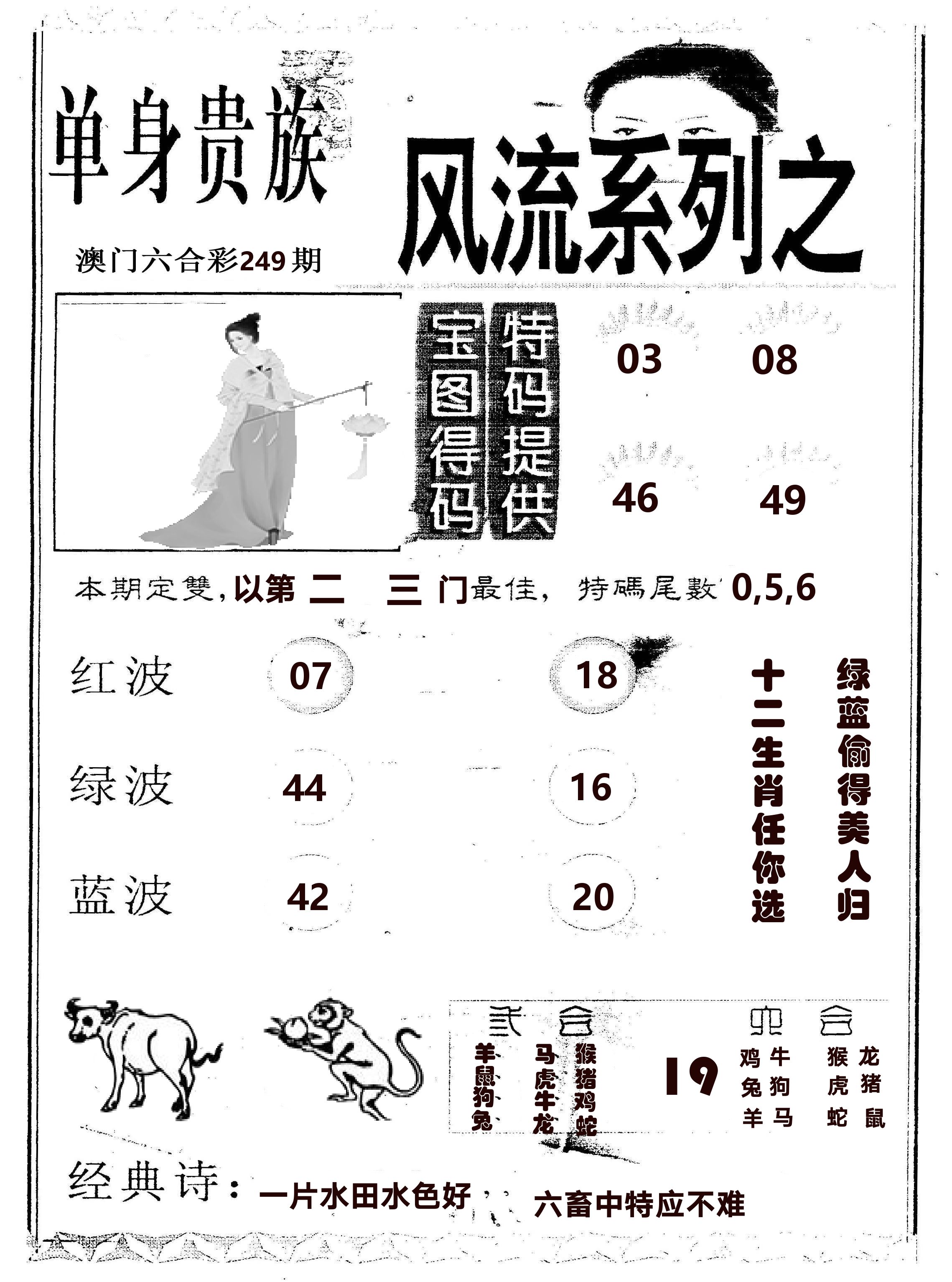 风流系列-2 第249期