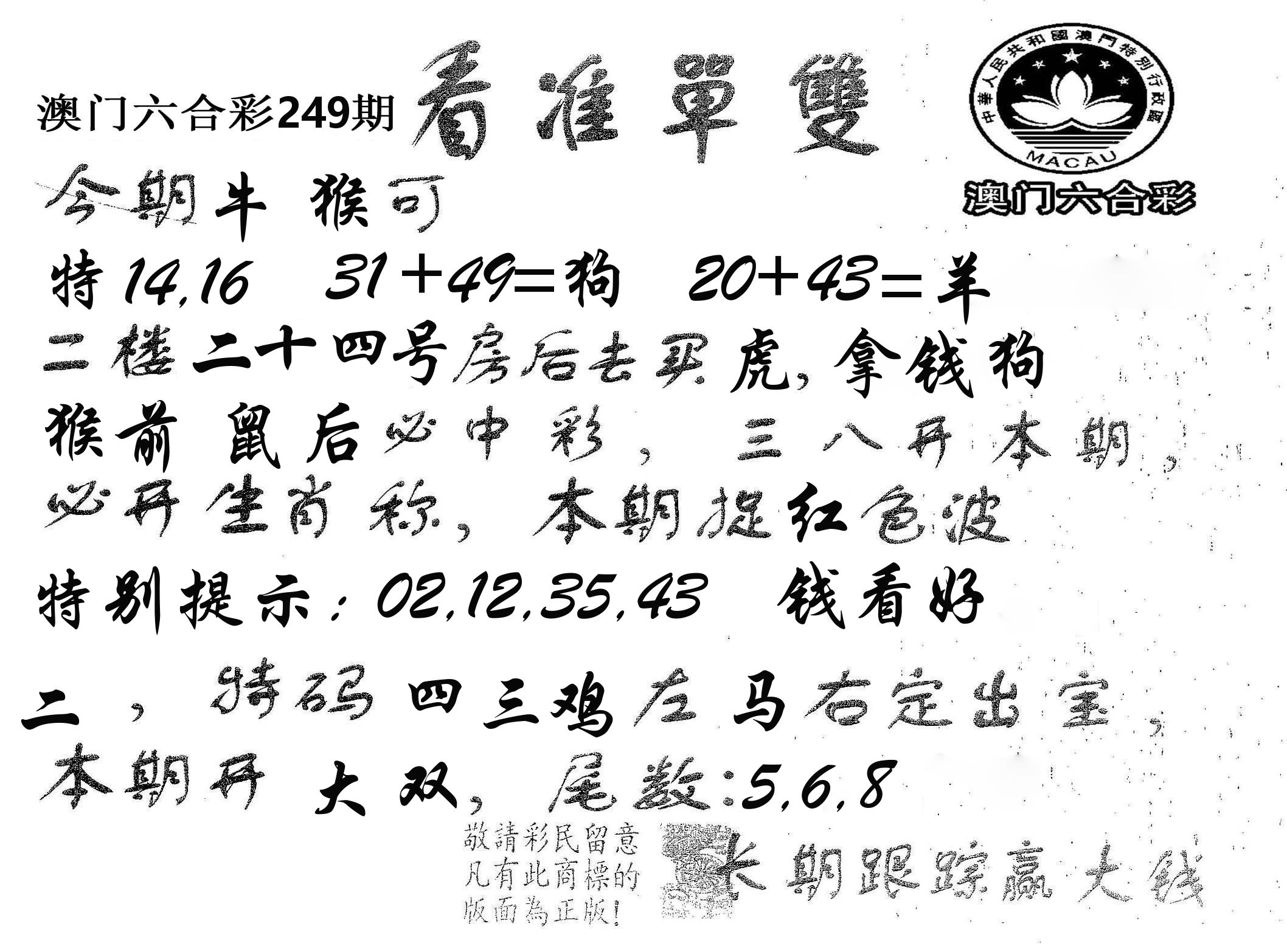 看准单双 第249期