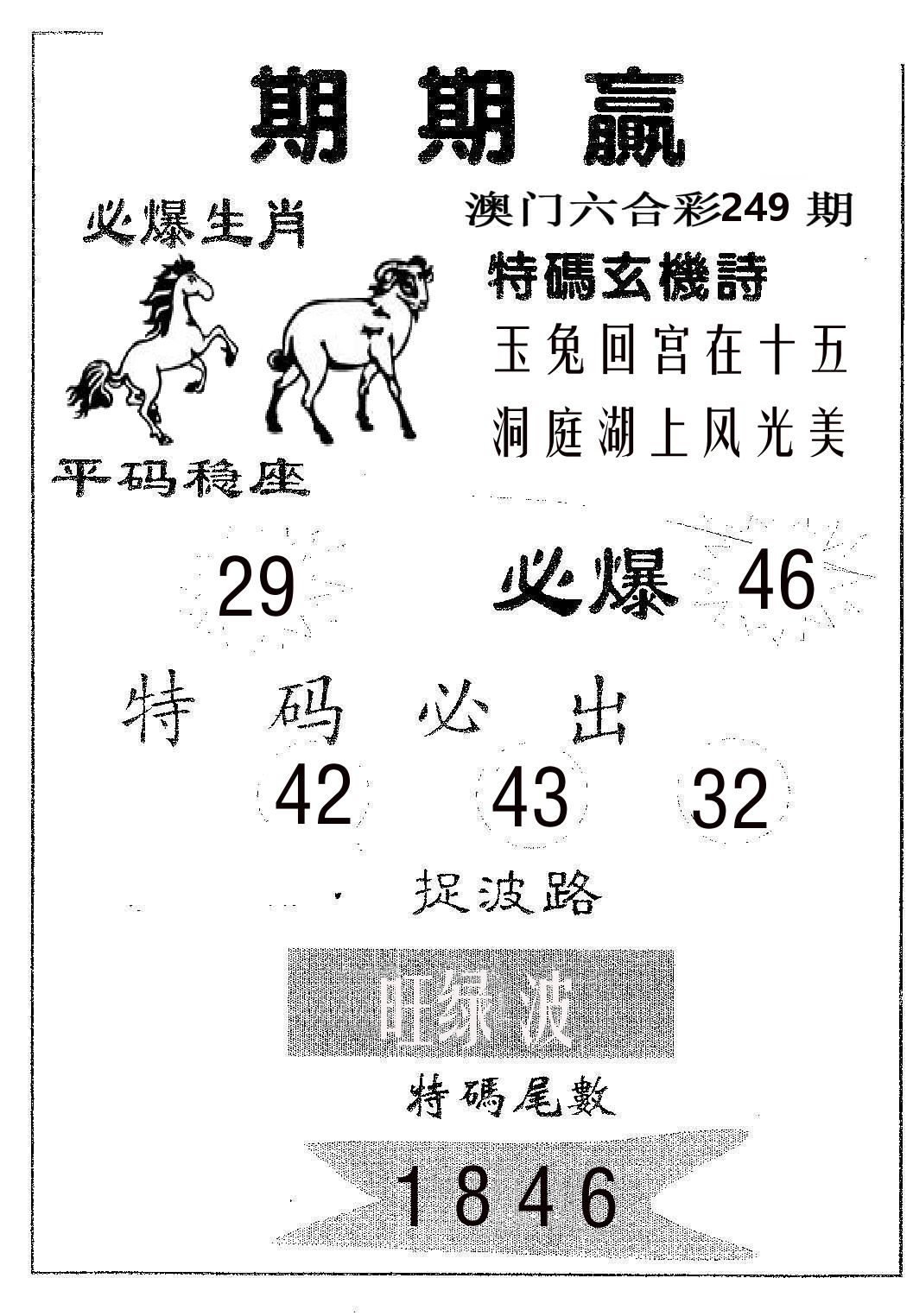 期期赢 第249期