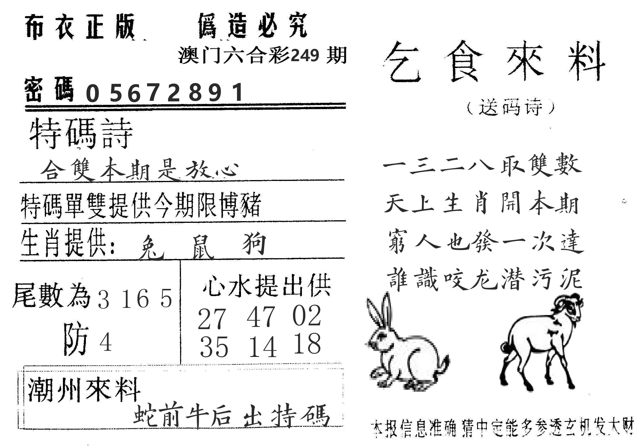 千禧码王 第249期