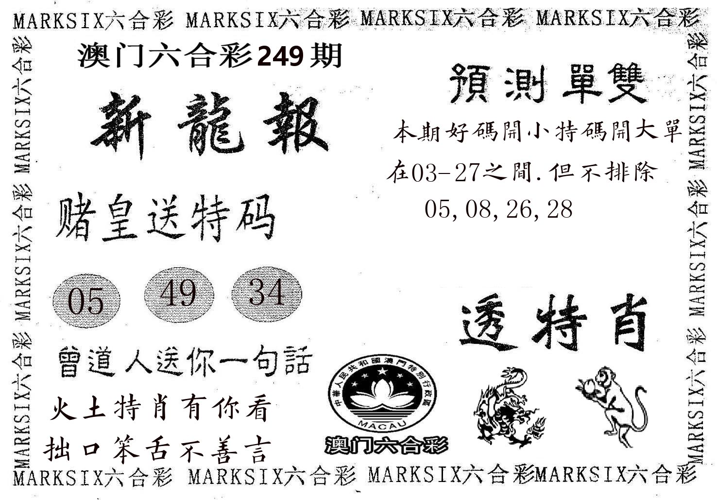 新龙报 第249期