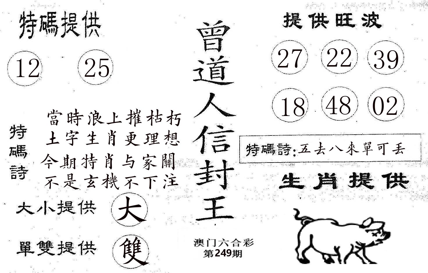 曾信封王 第249期