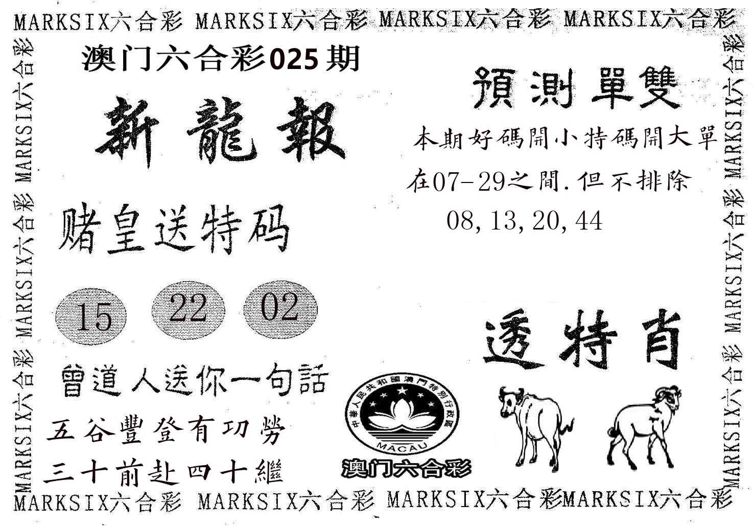 新龙报 第25期