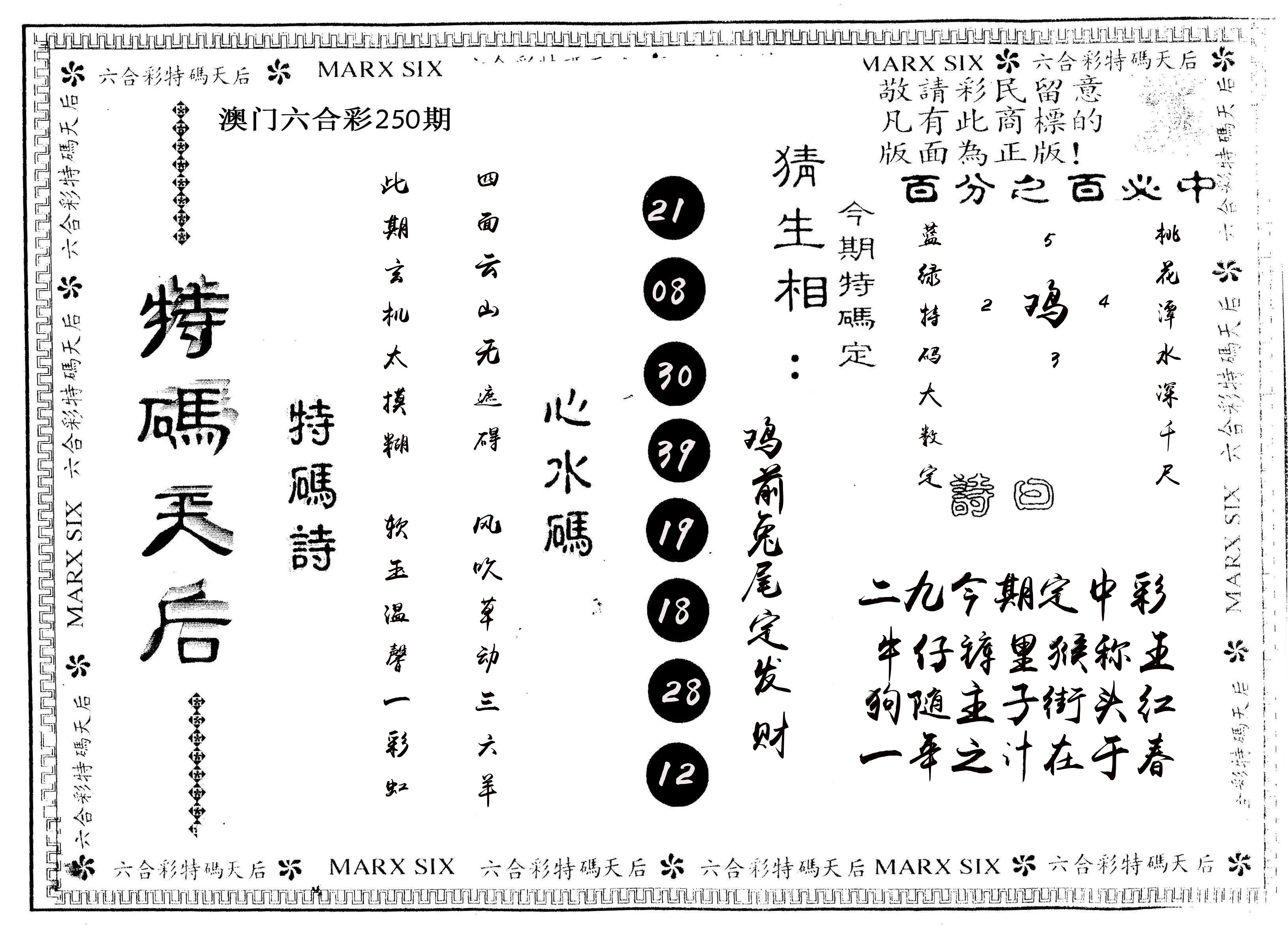 另版特码天后 第250期