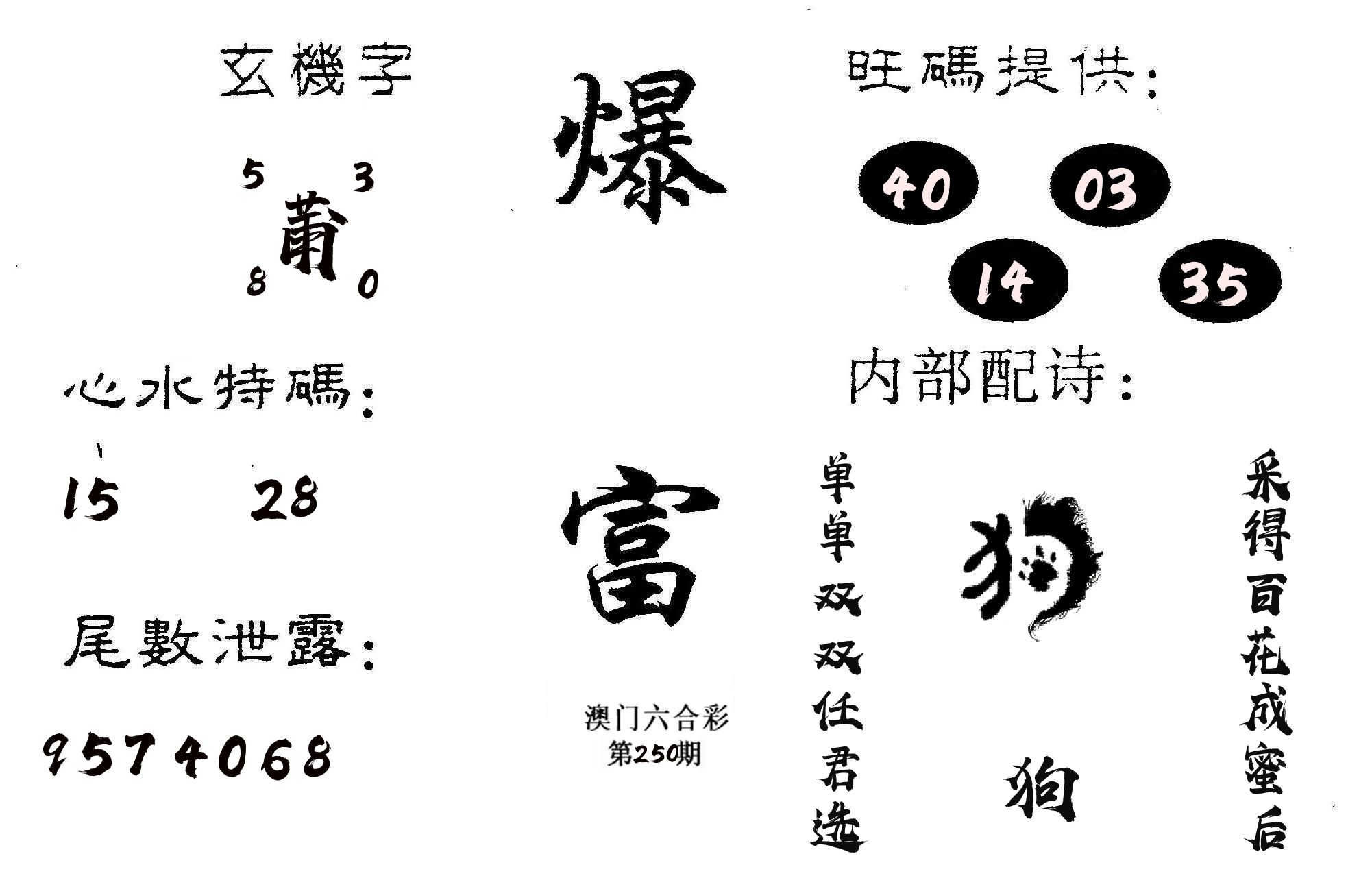 爆富 第250期