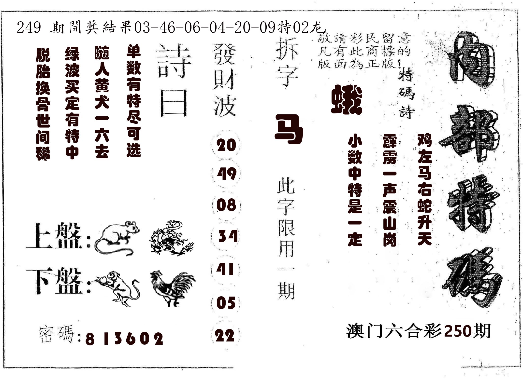 内部特码 第250期