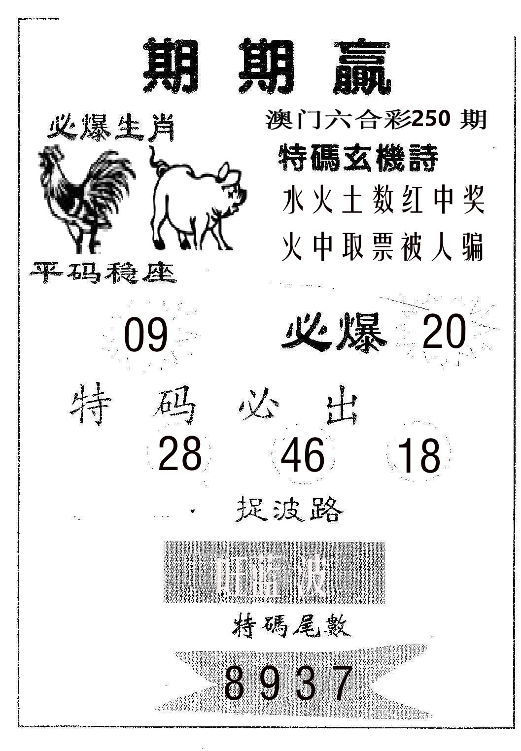 期期赢 第250期