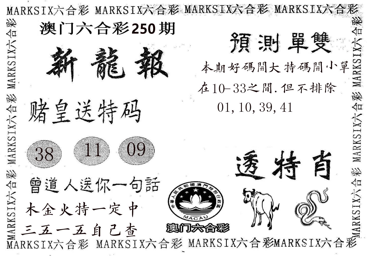 新龙报 第250期