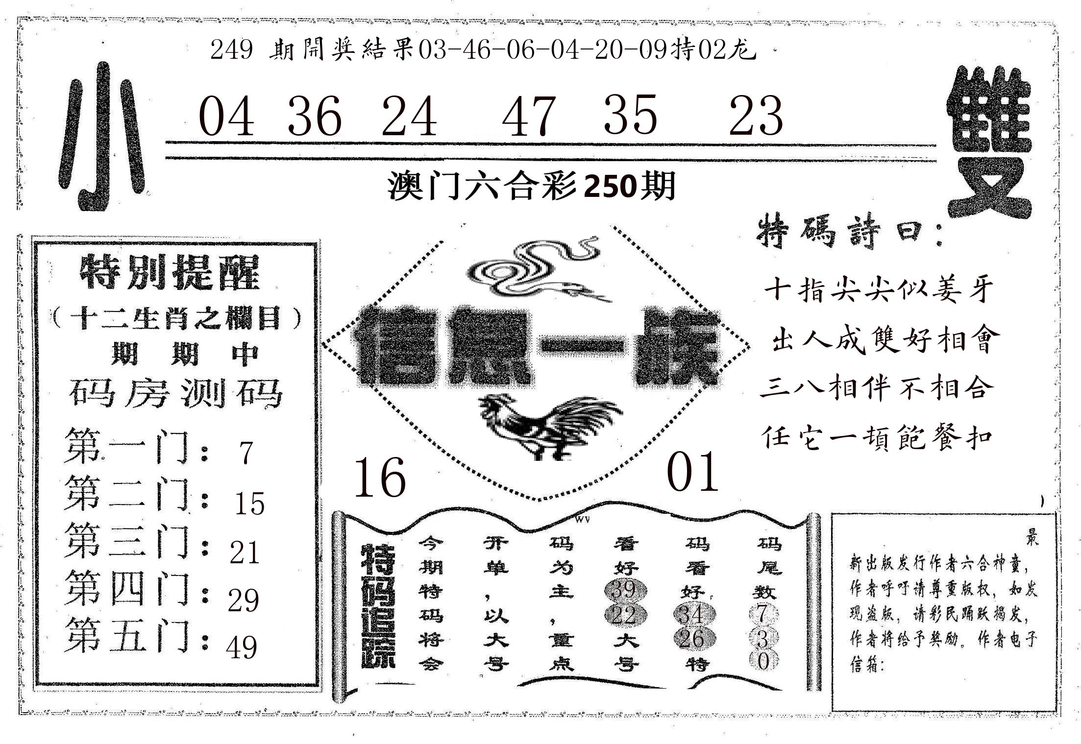 信息一族 第250期