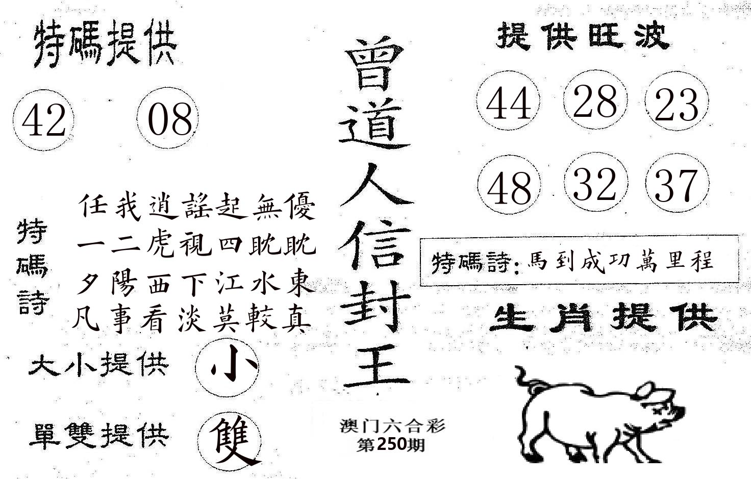 曾信封王 第250期