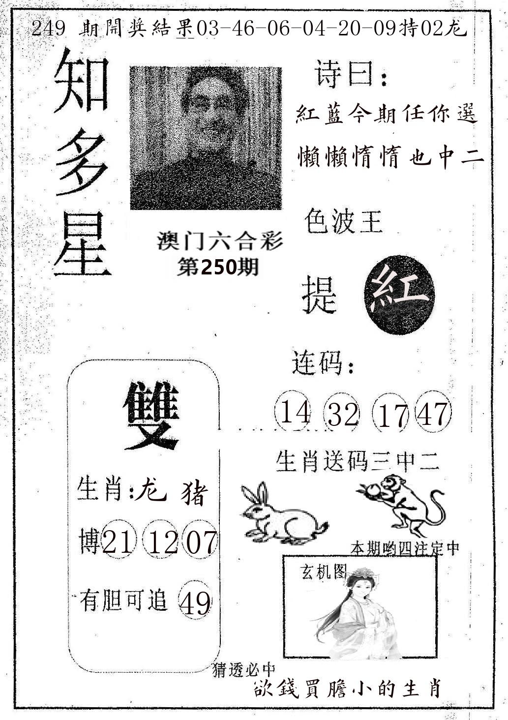 知多星 第250期
