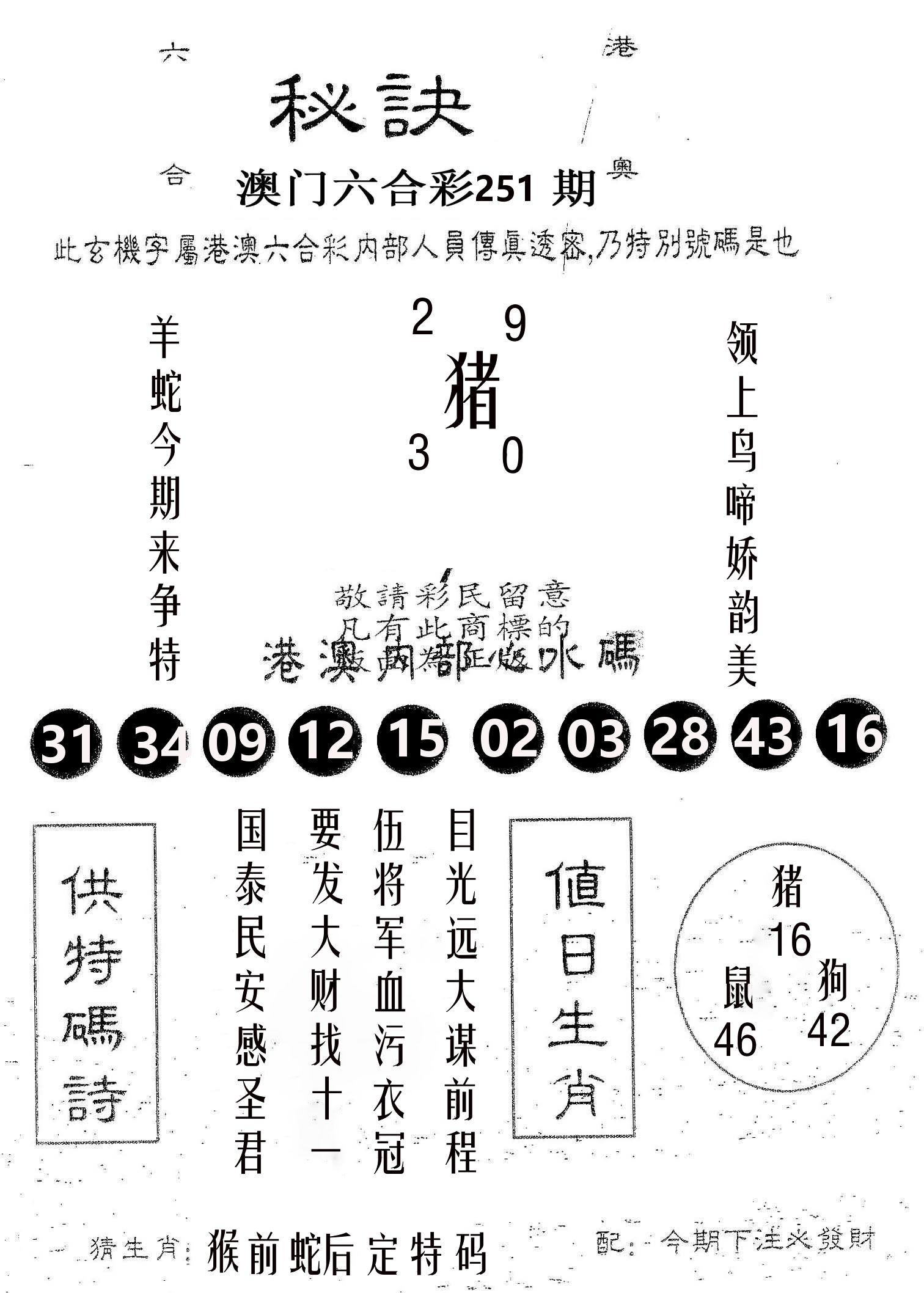 秘决 第251期
