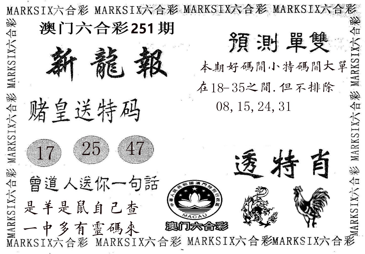 新龙报 第251期