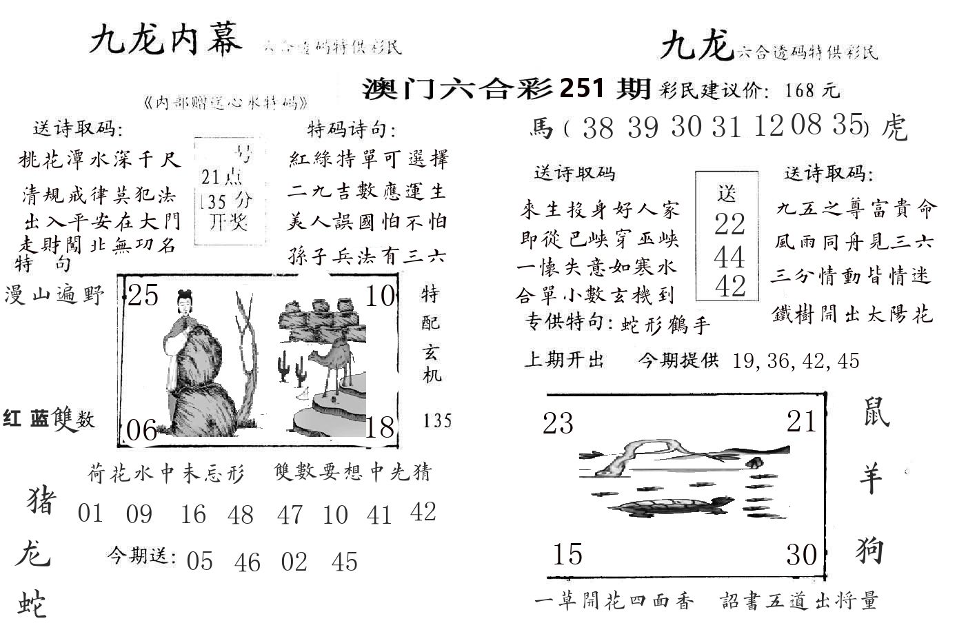 九龙内幕 第251期