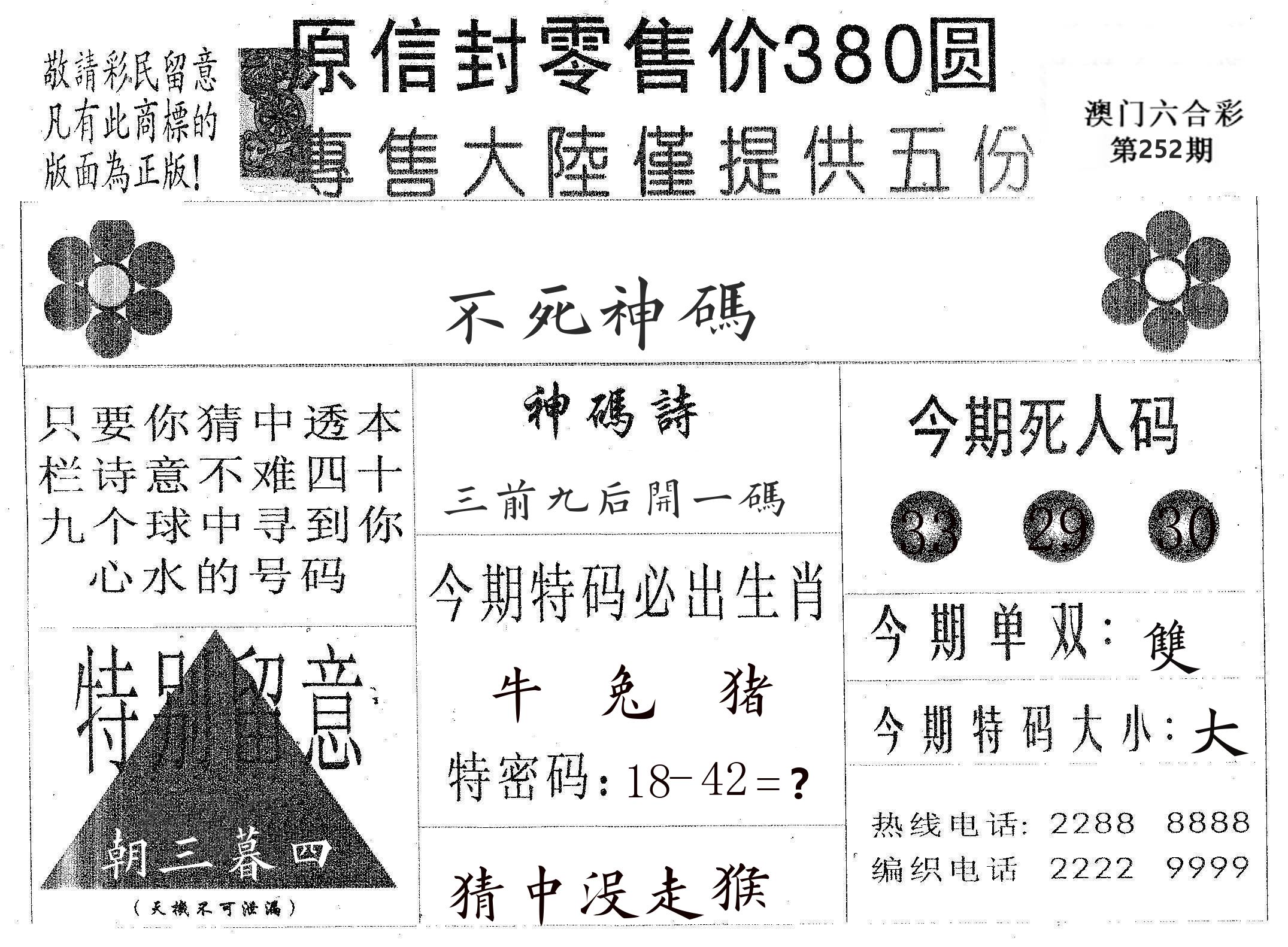 不死码A 第252期