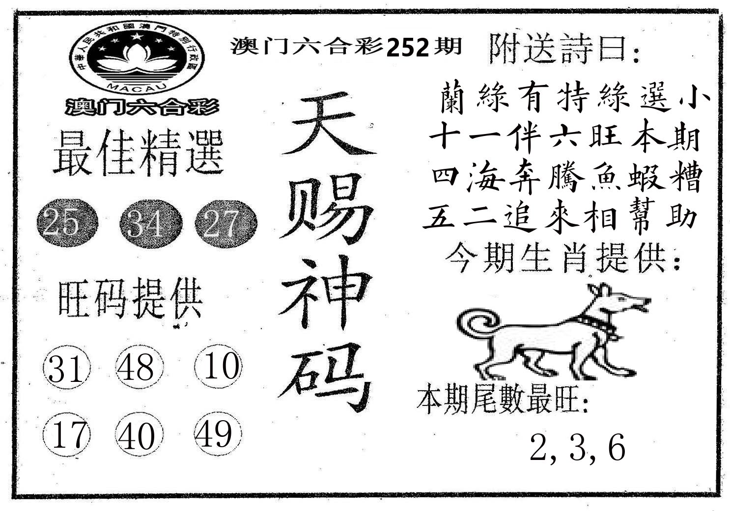 天赐神码 第252期