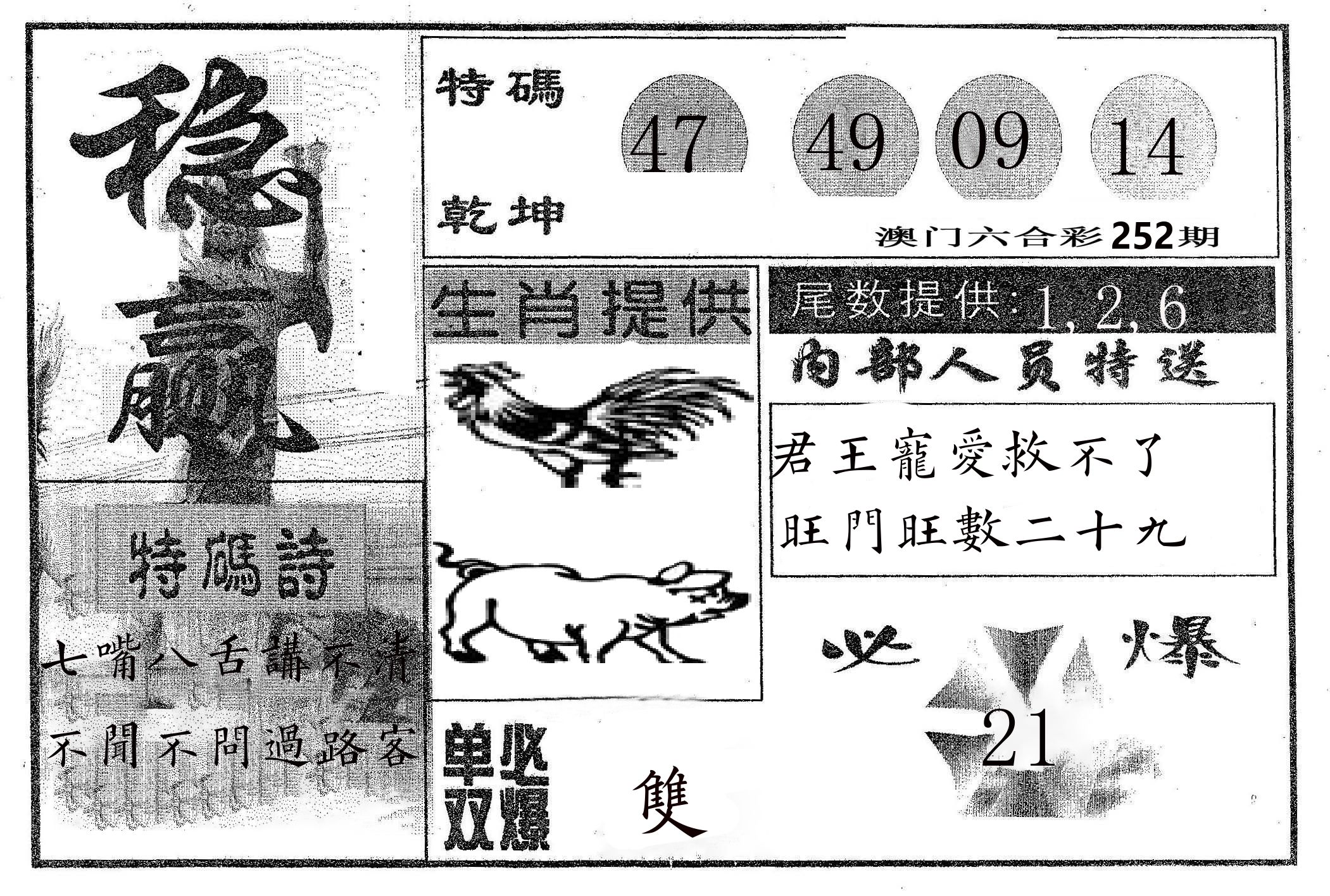 稳赢 第252期