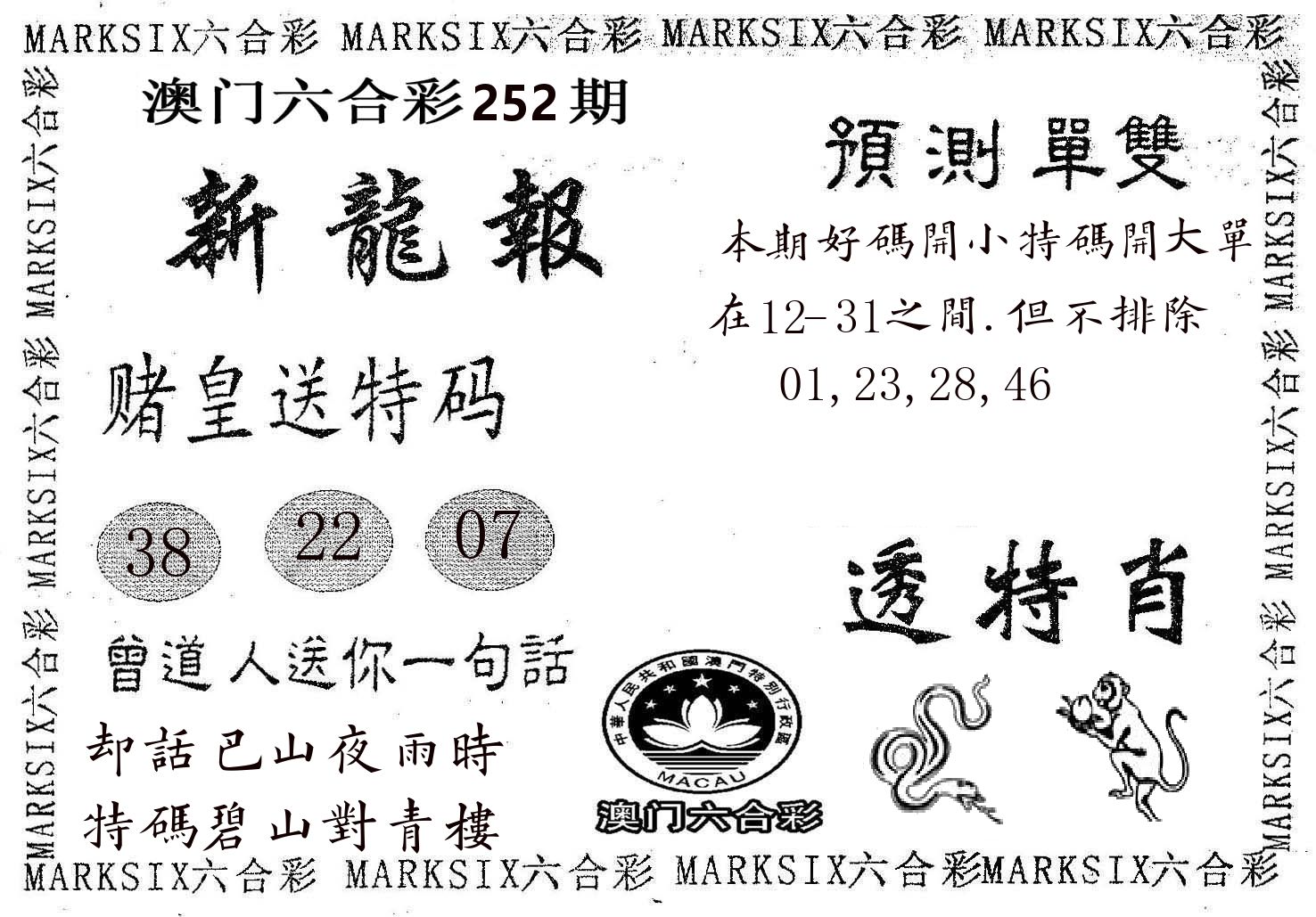 新龙报 第252期