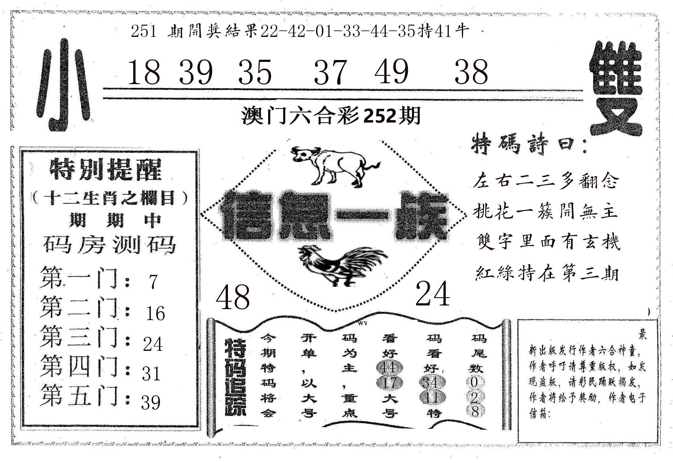 信息一族 第252期