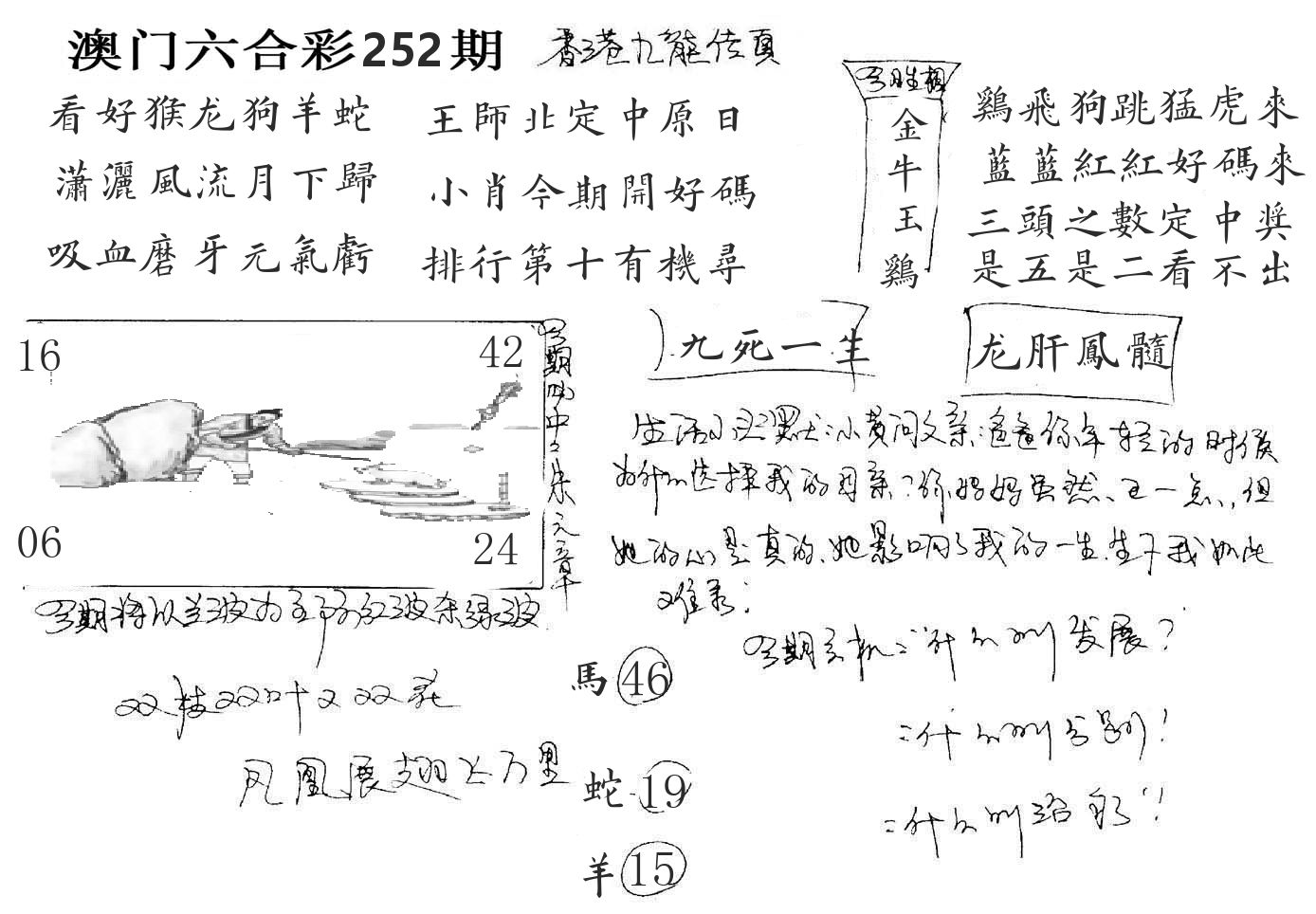澳门手写九龙 第252期