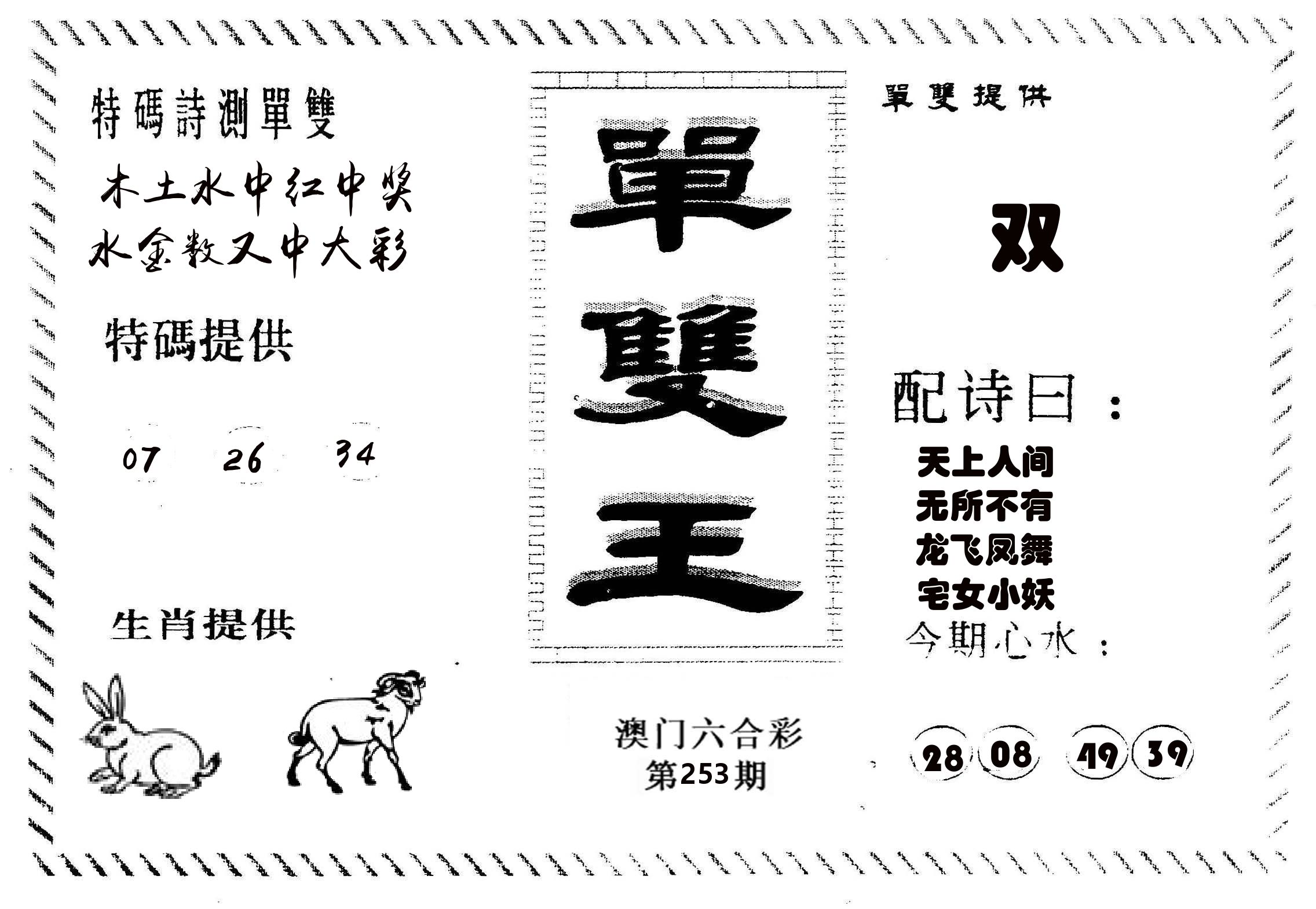 单双王B 第253期