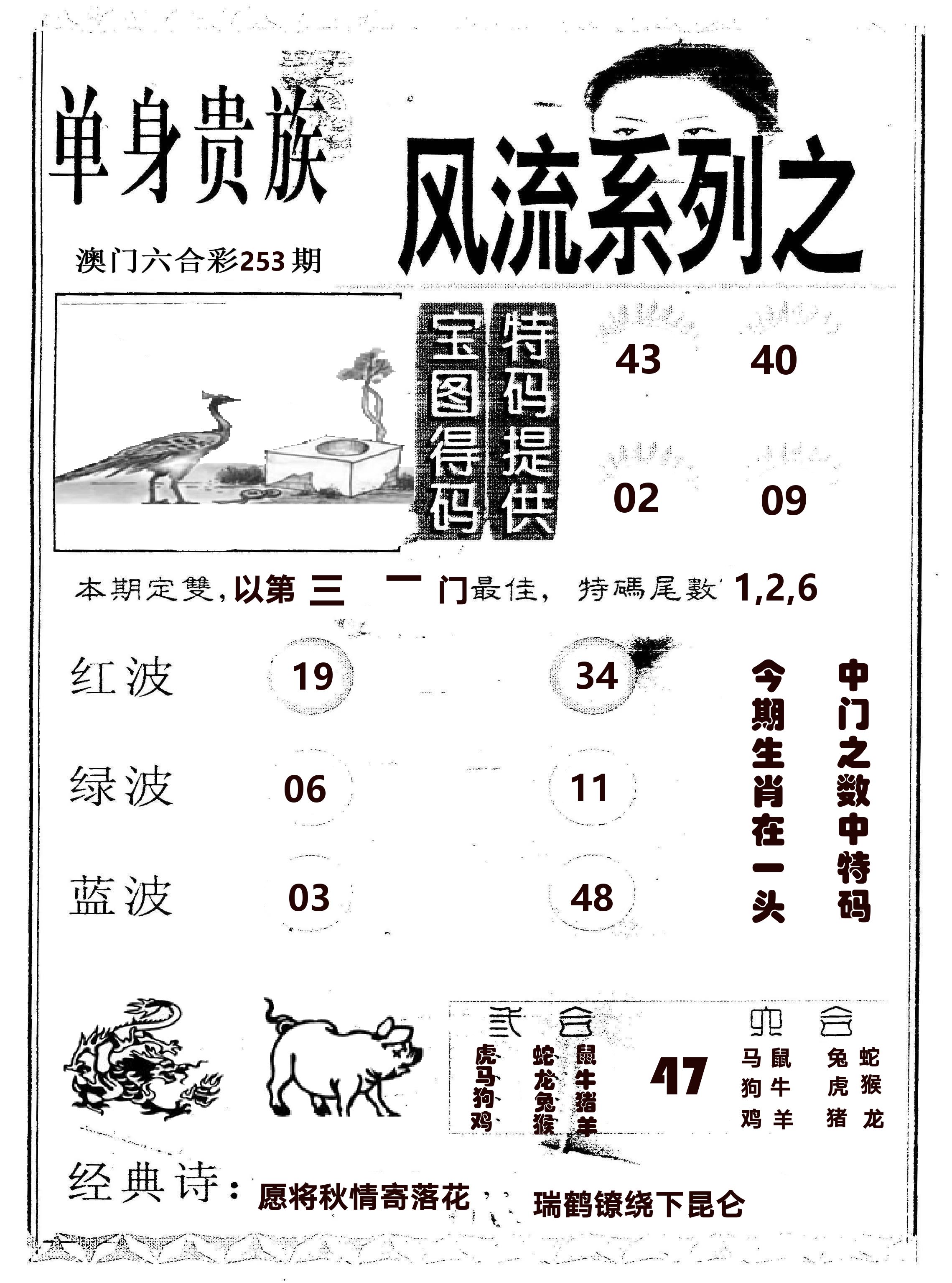 风流系列-2 第253期