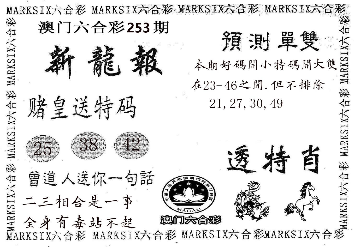 新龙报 第253期