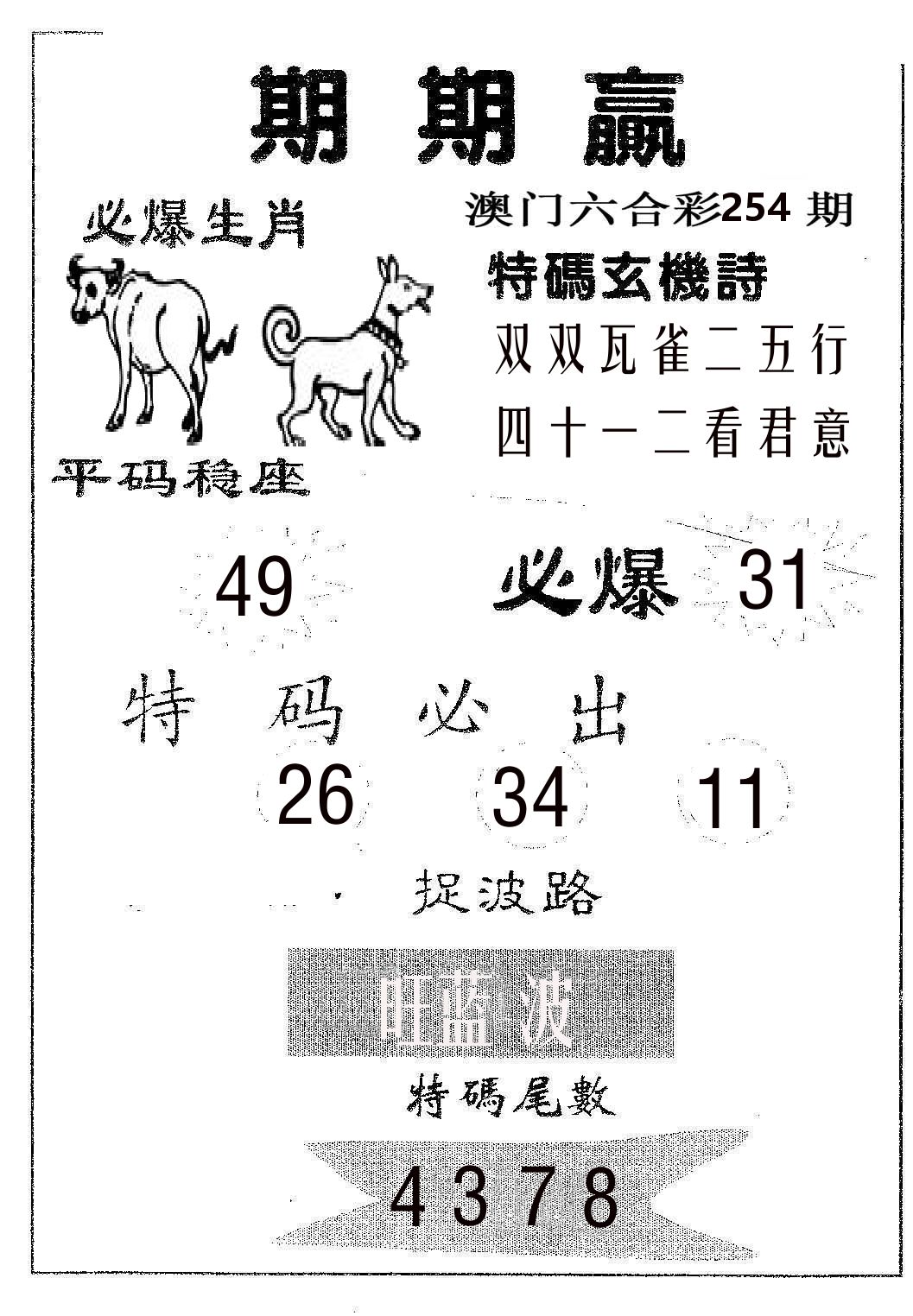 期期赢 第254期