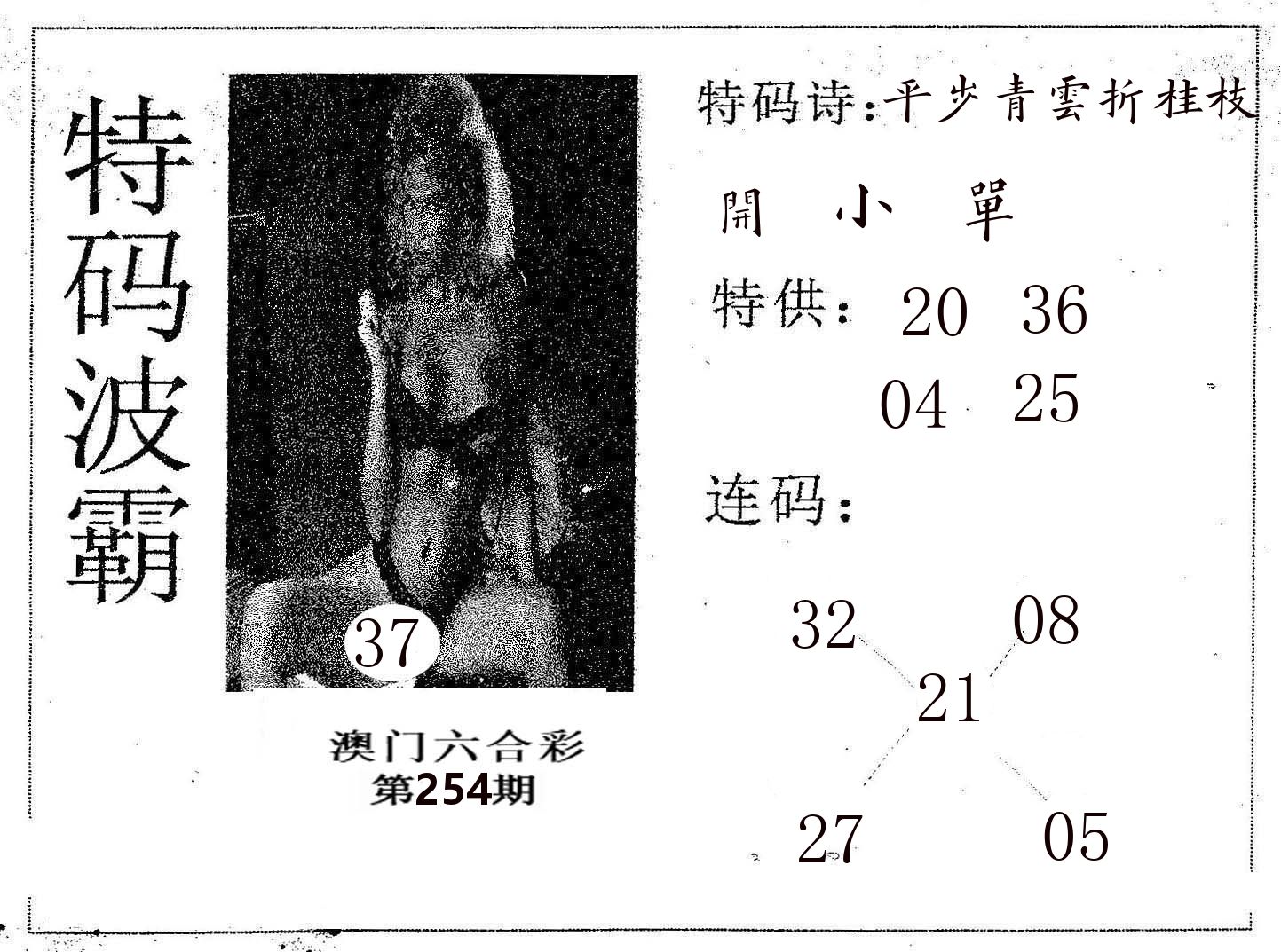 特码波霸 第254期