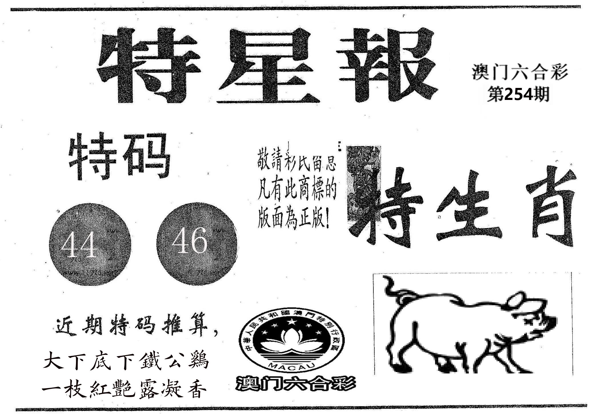 特星报 第254期