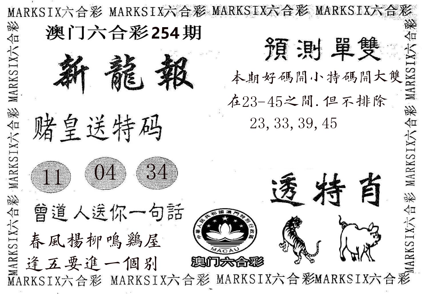 新龙报 第254期