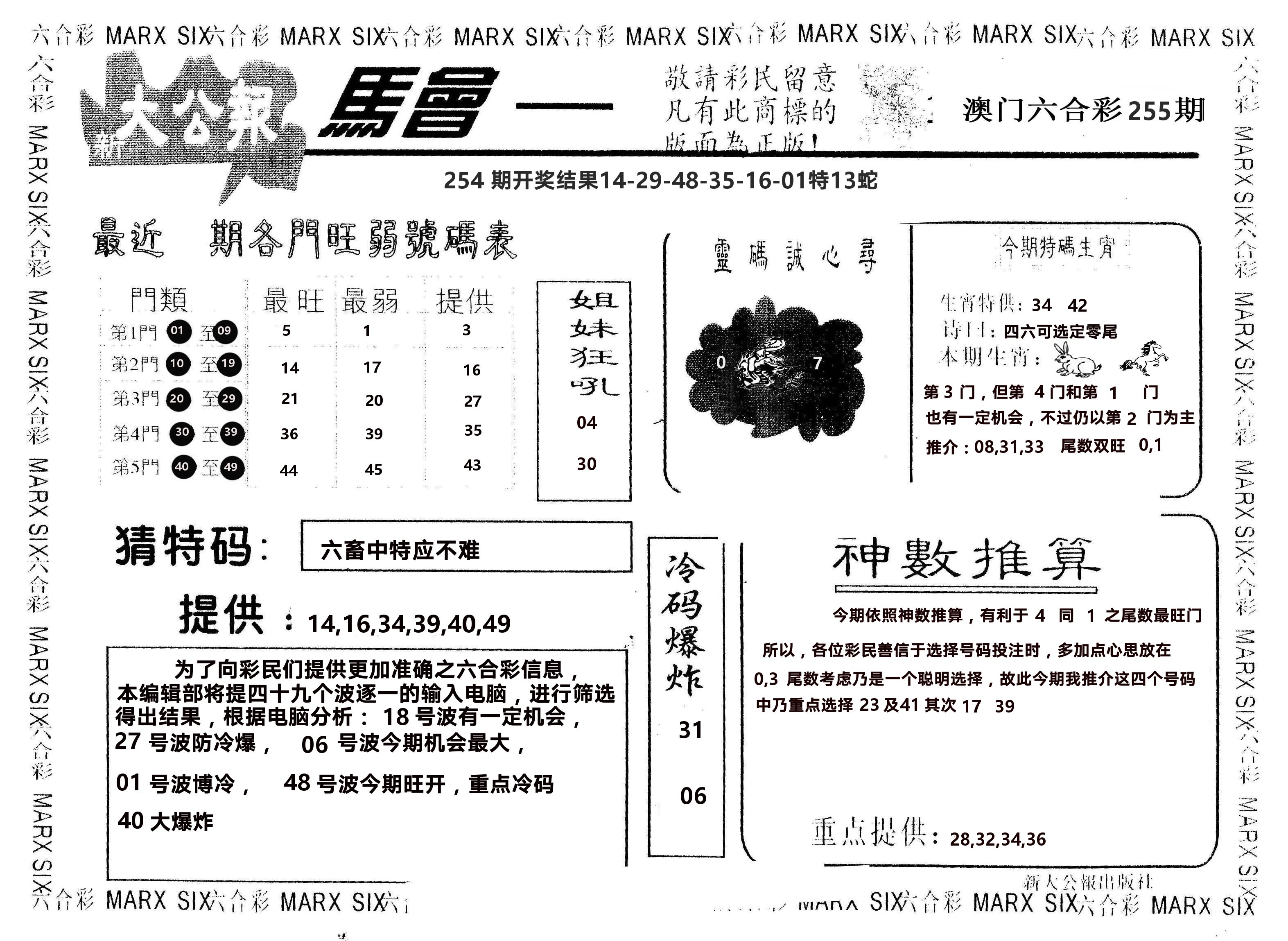 另版大公报 第255期
