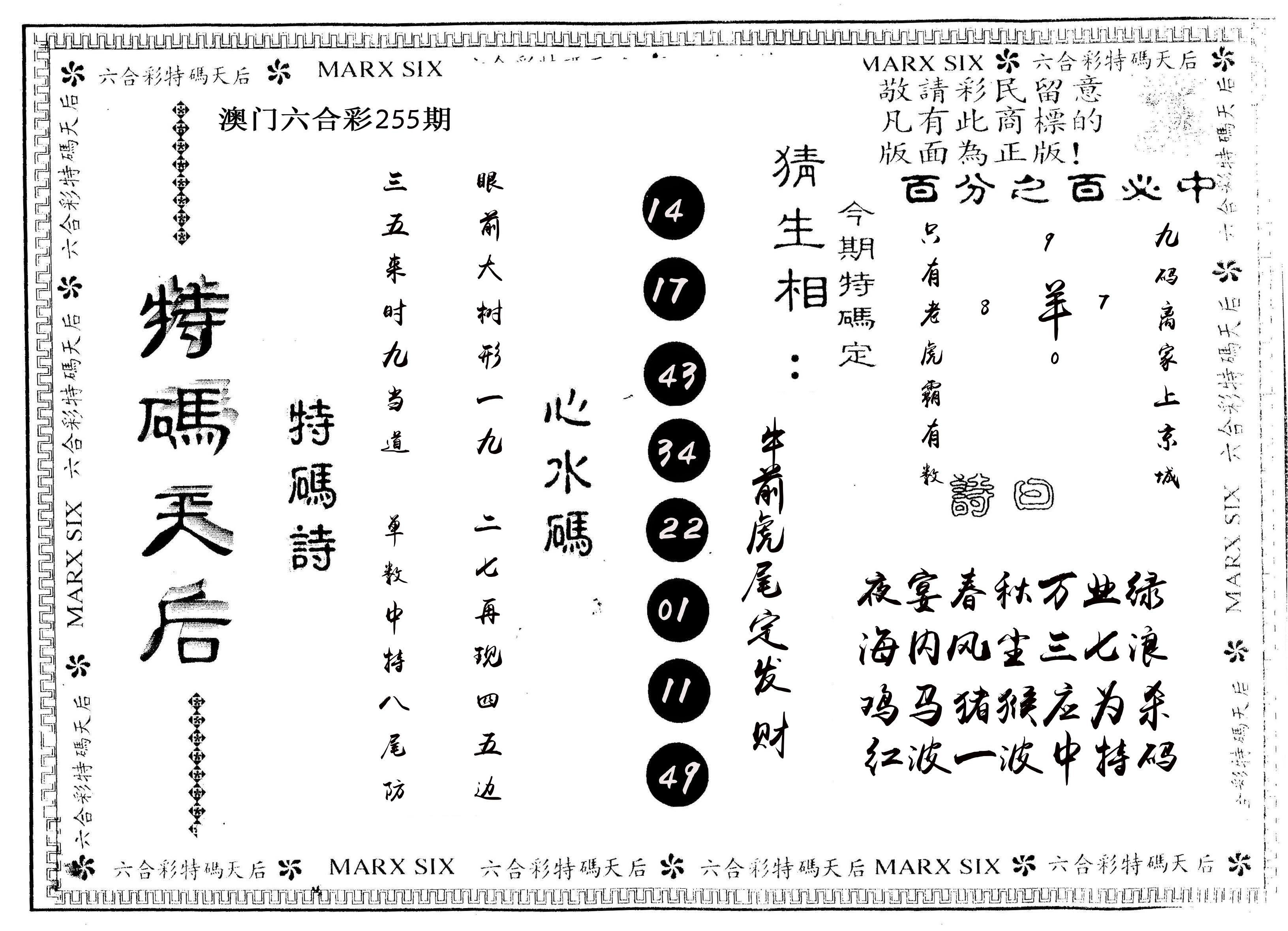 另版特码天后 第255期