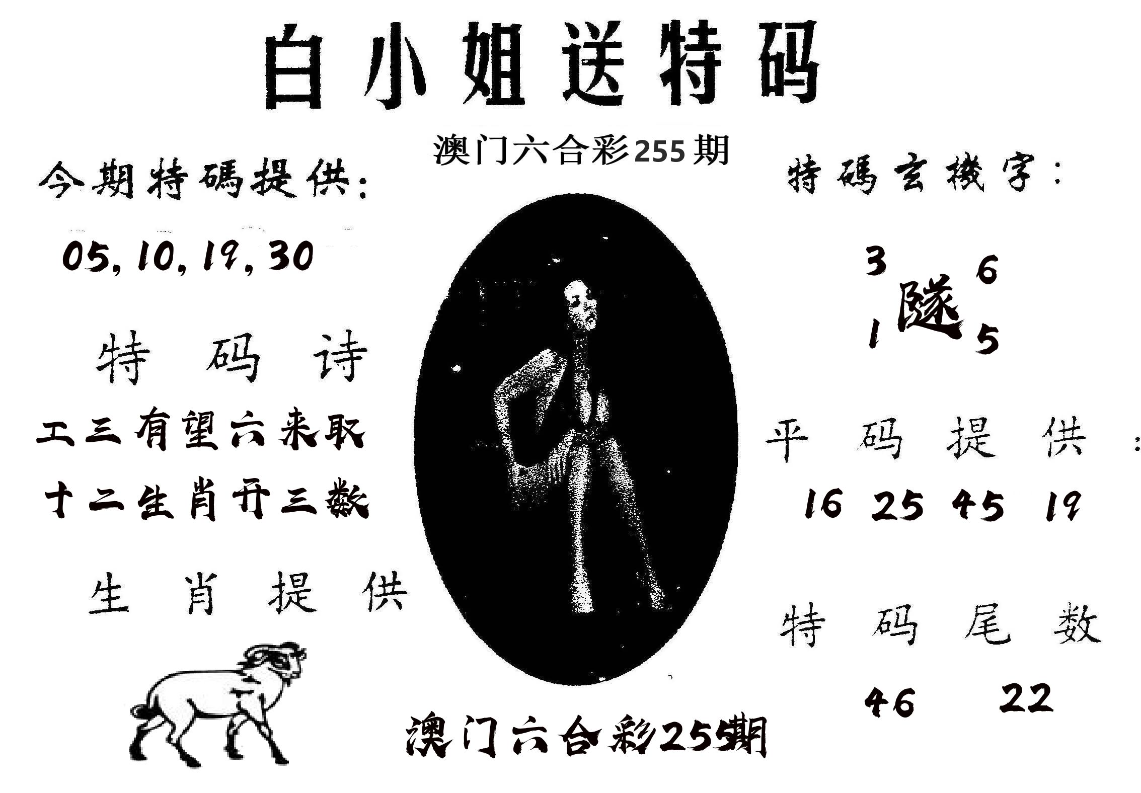 白姐送特 第255期