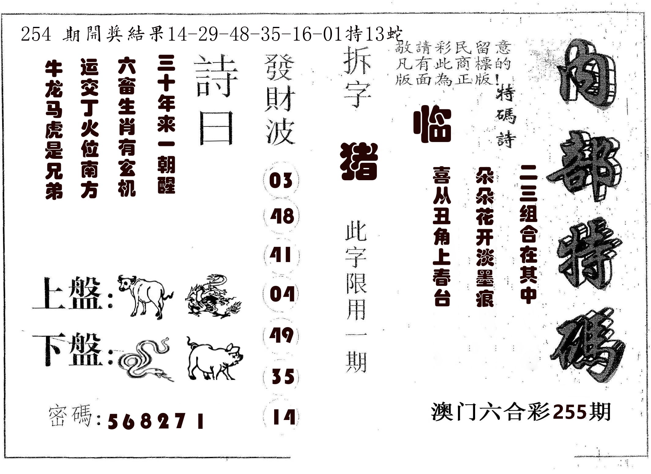 内部特码 第255期