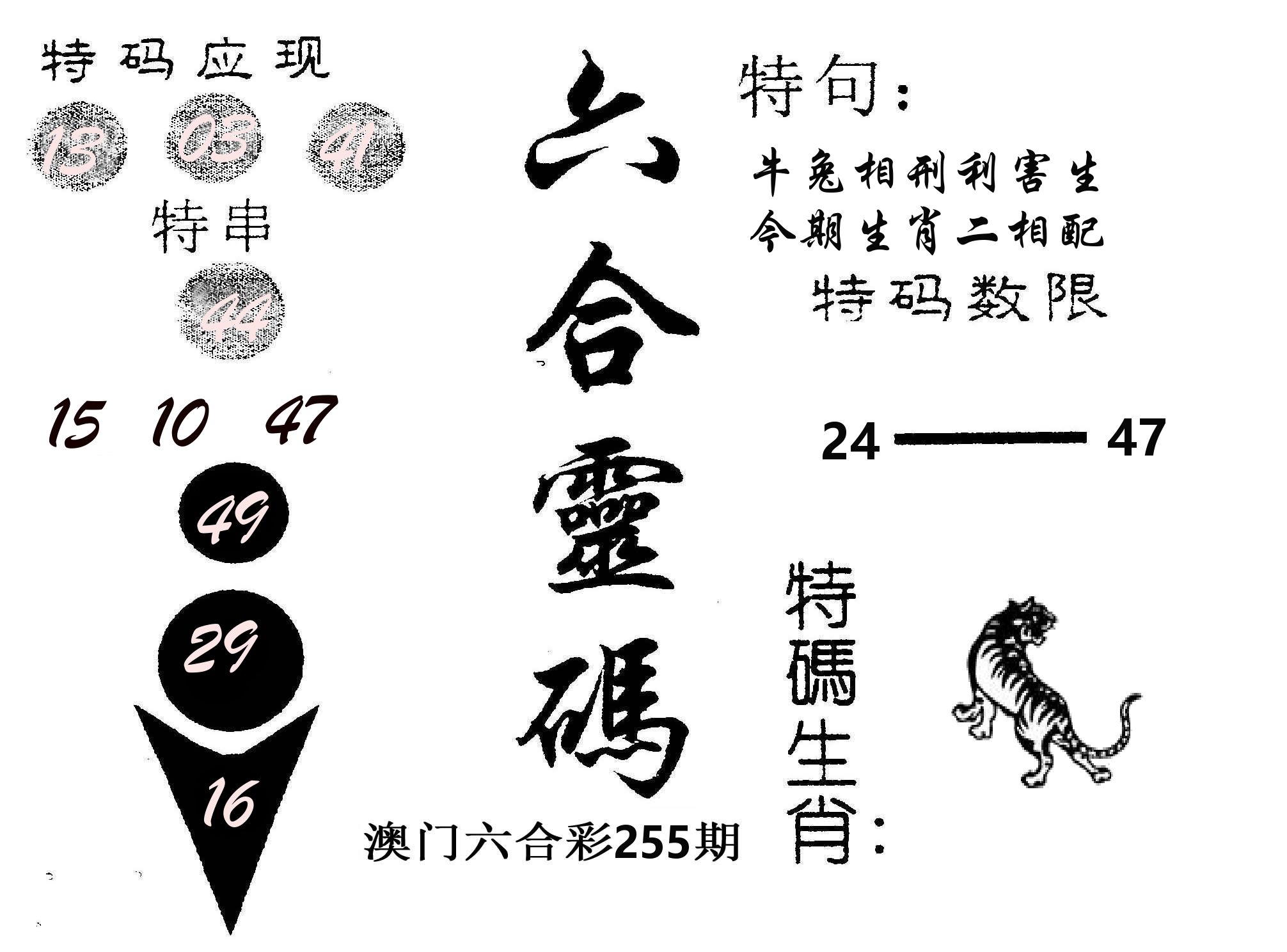 六合灵码 第255期