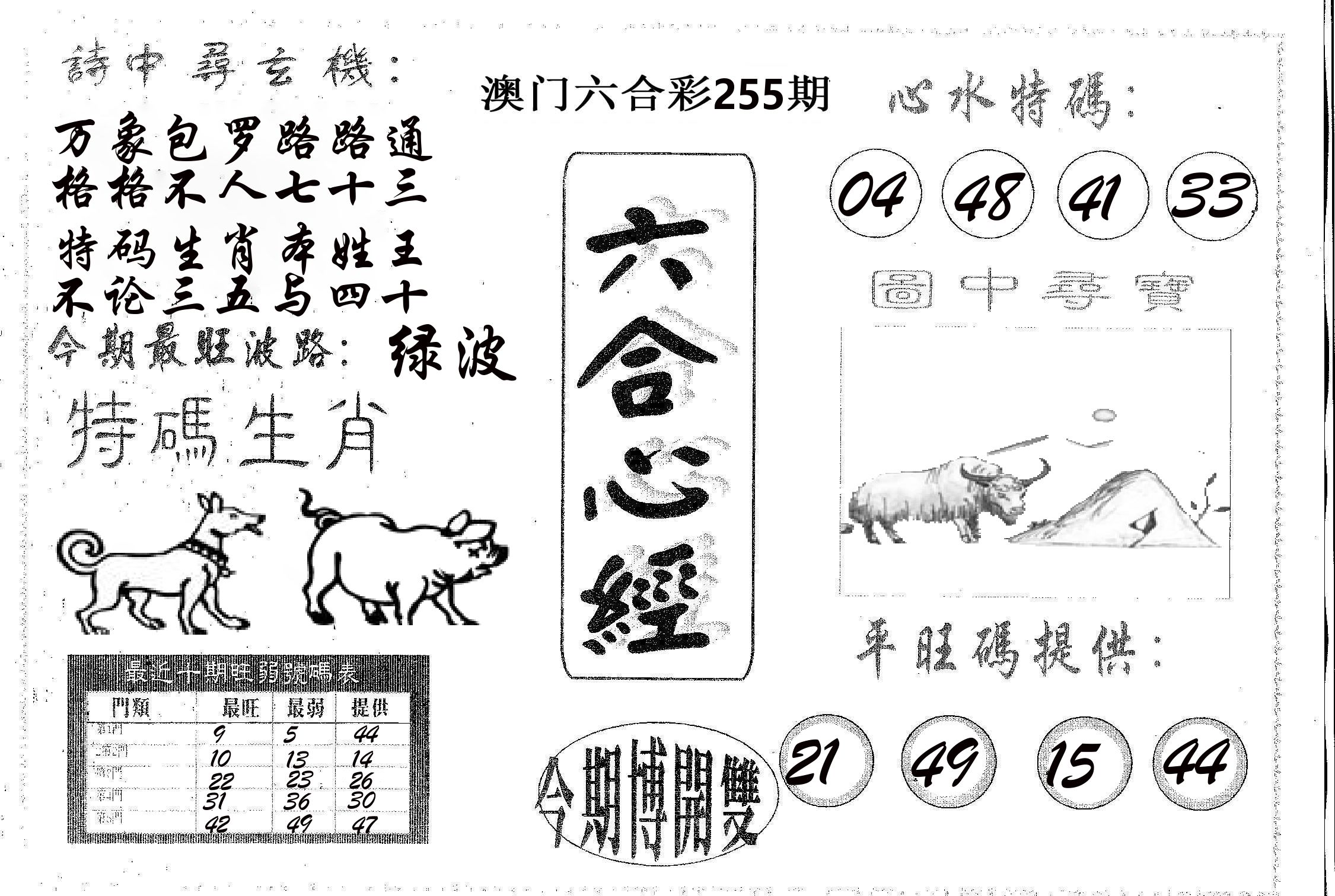 六合心经 第255期
