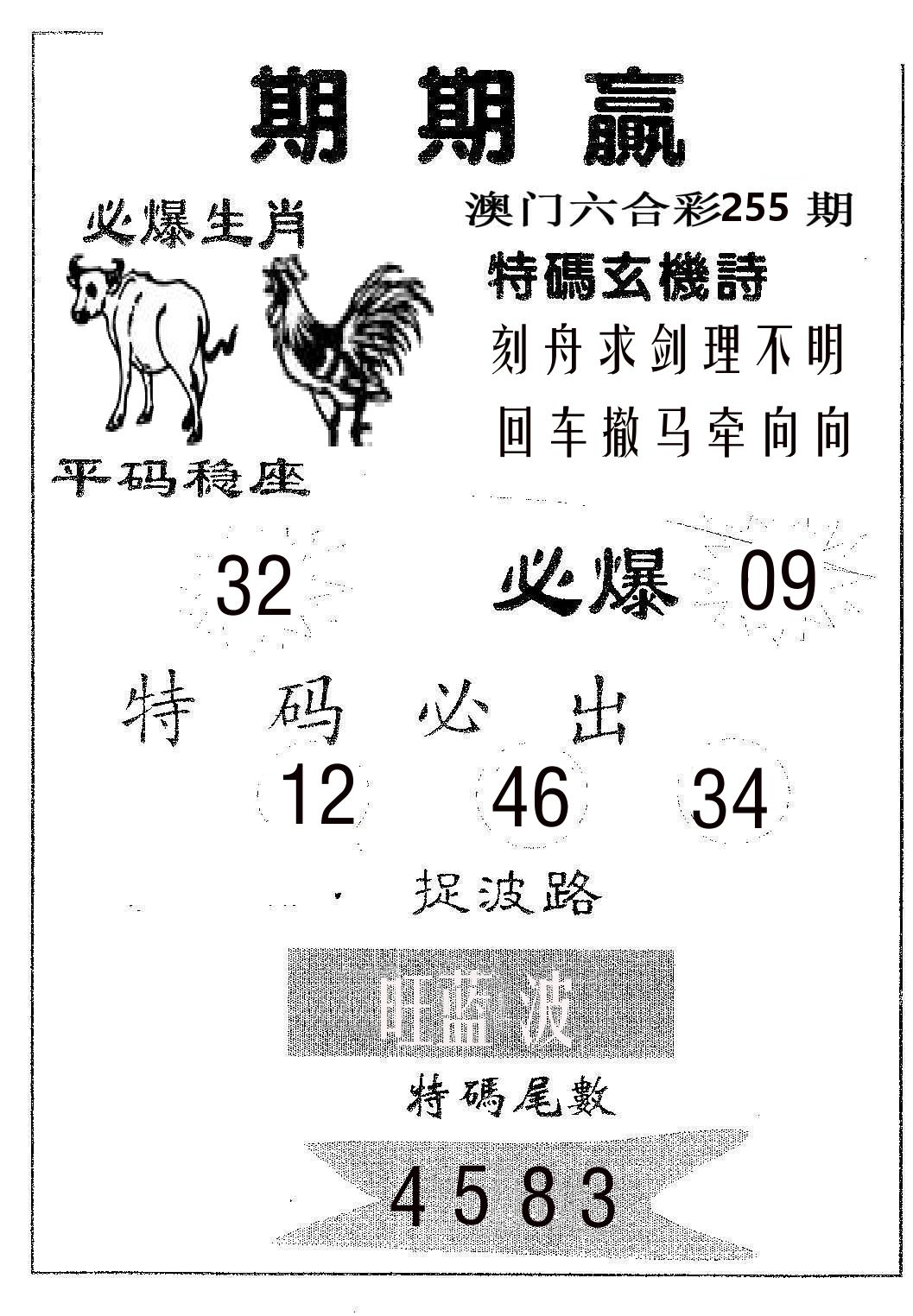 期期赢 第255期