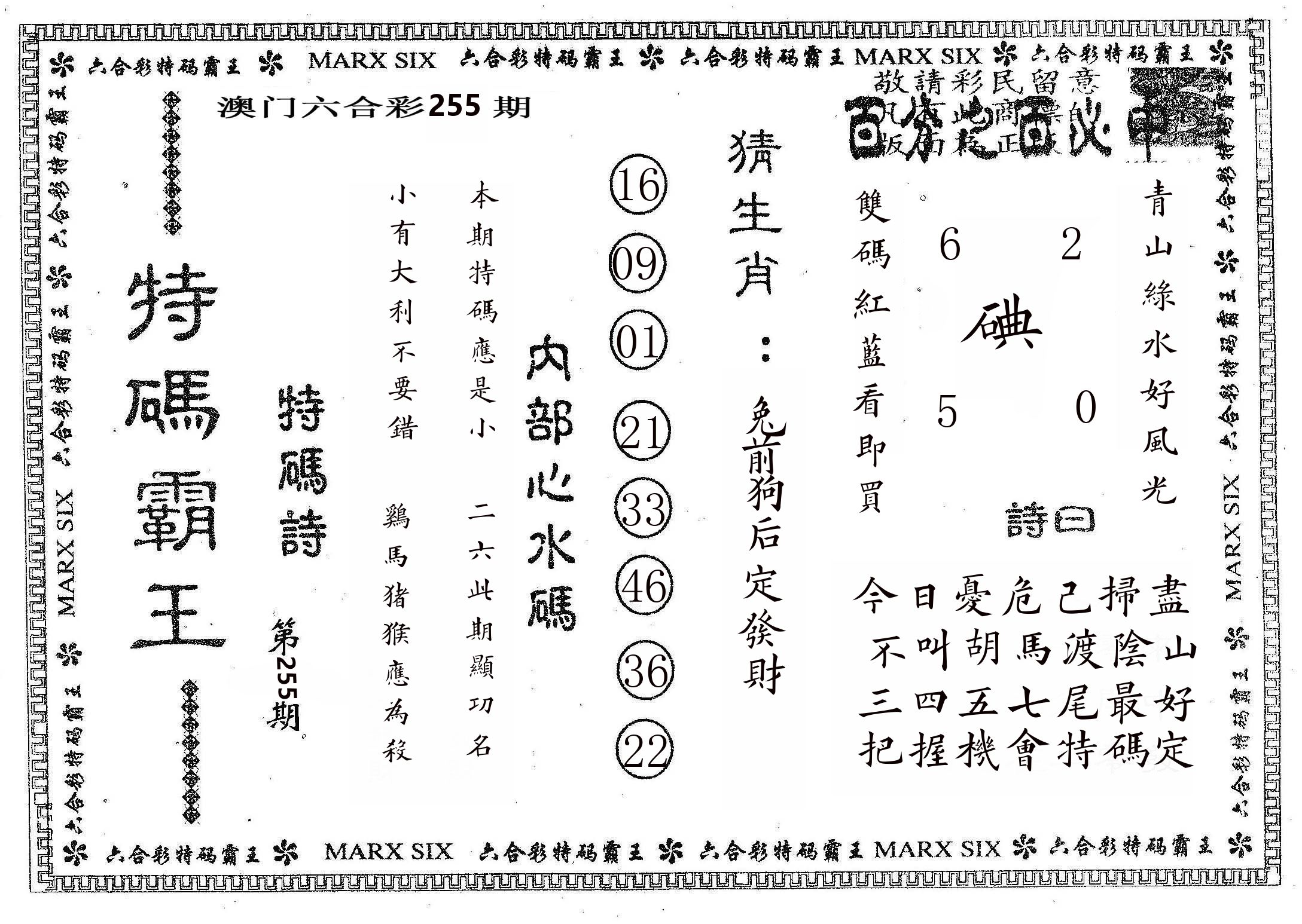 特码霸王B 第255期