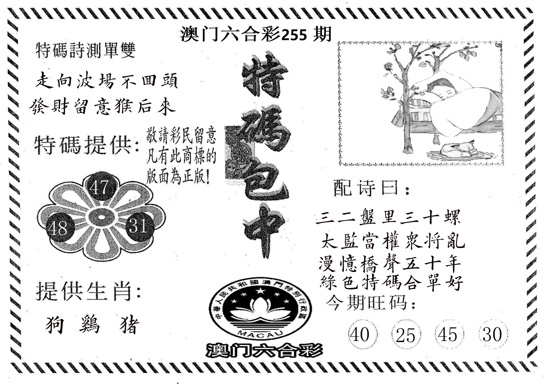 特码包中 第255期