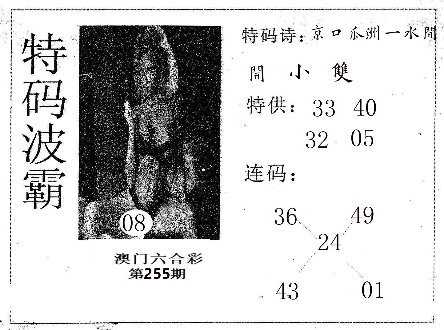 特码波霸 第255期