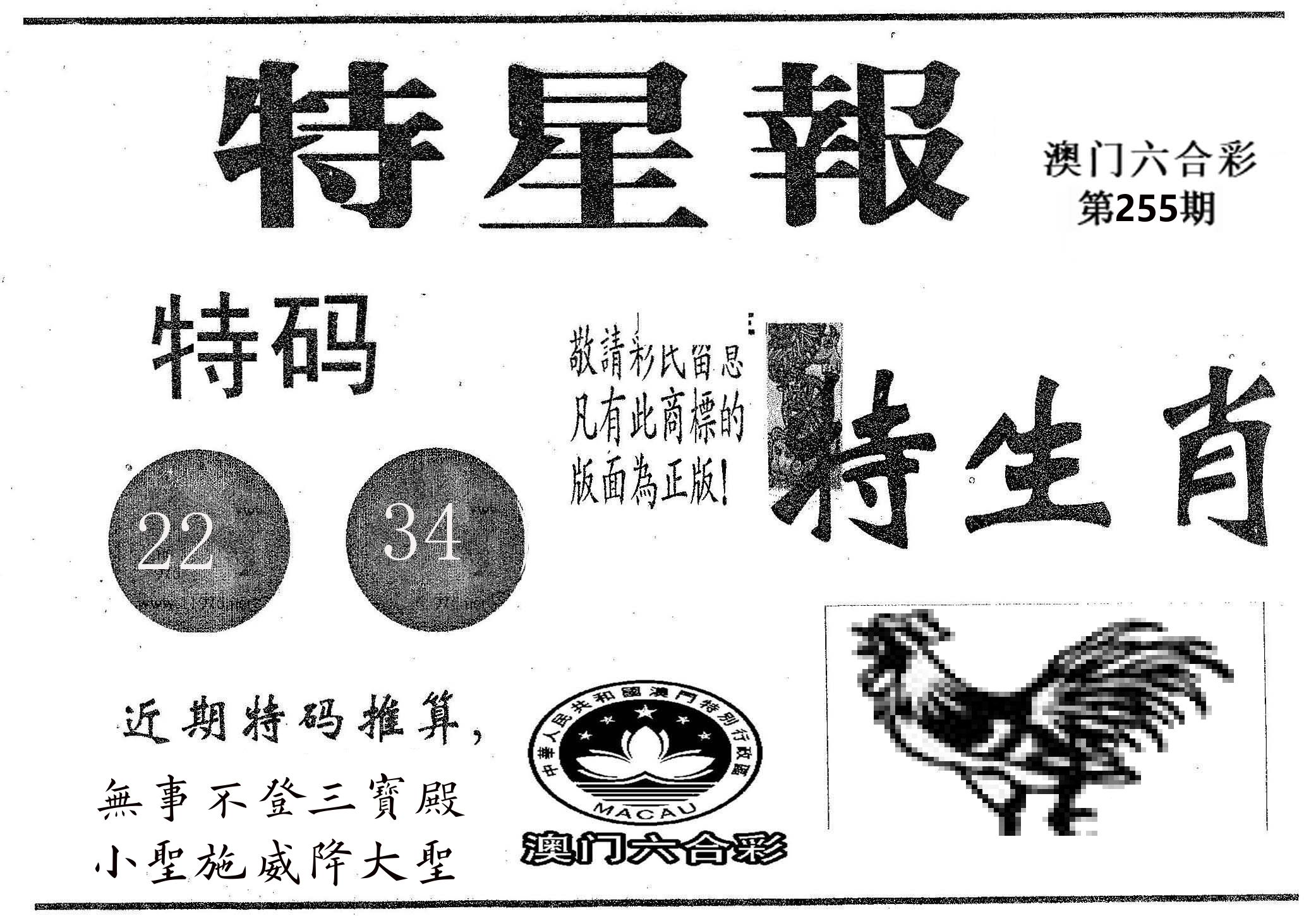 特星报 第255期