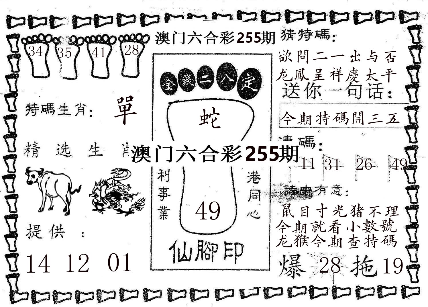 仙脚印 第255期