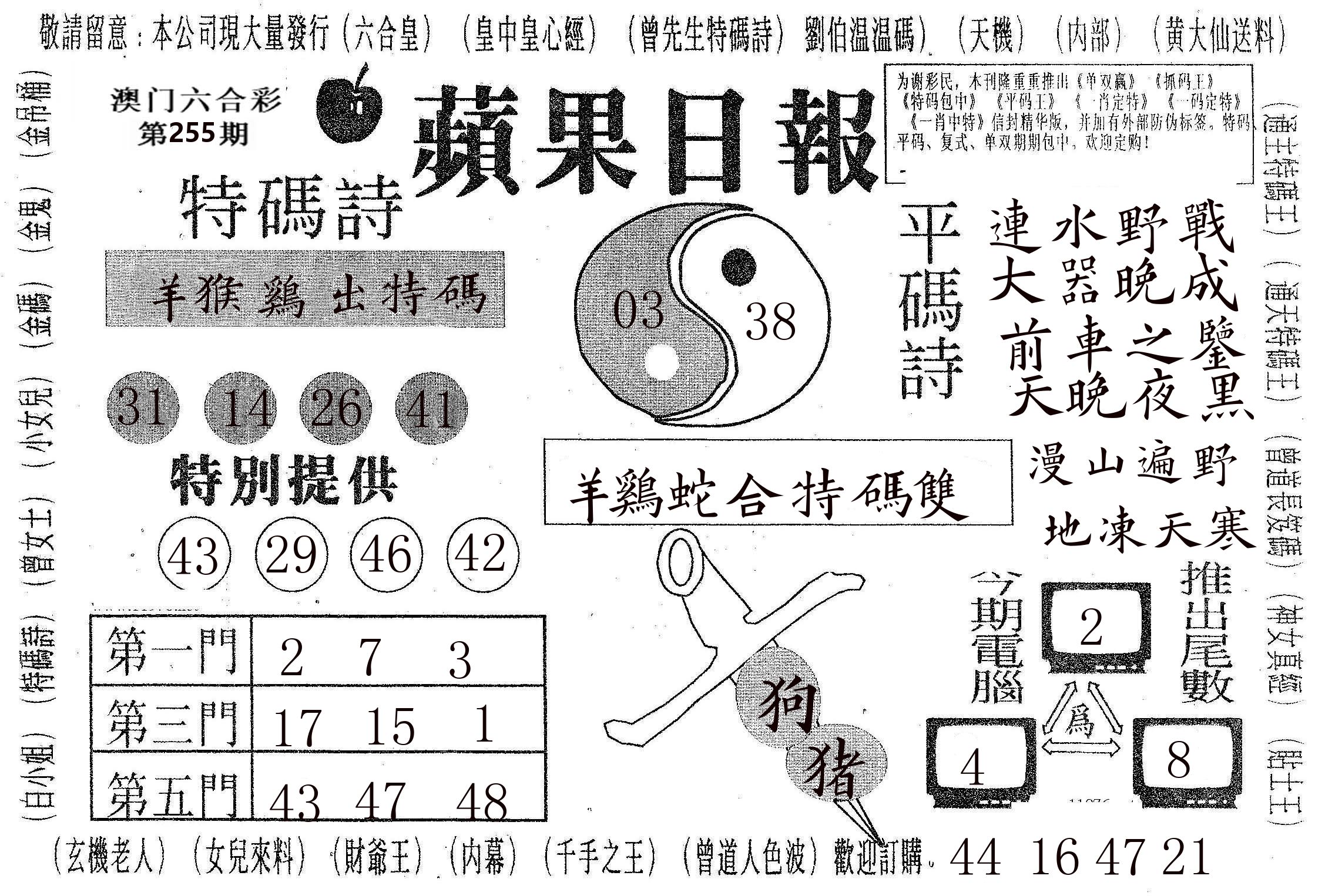 新苹果日报 第255期