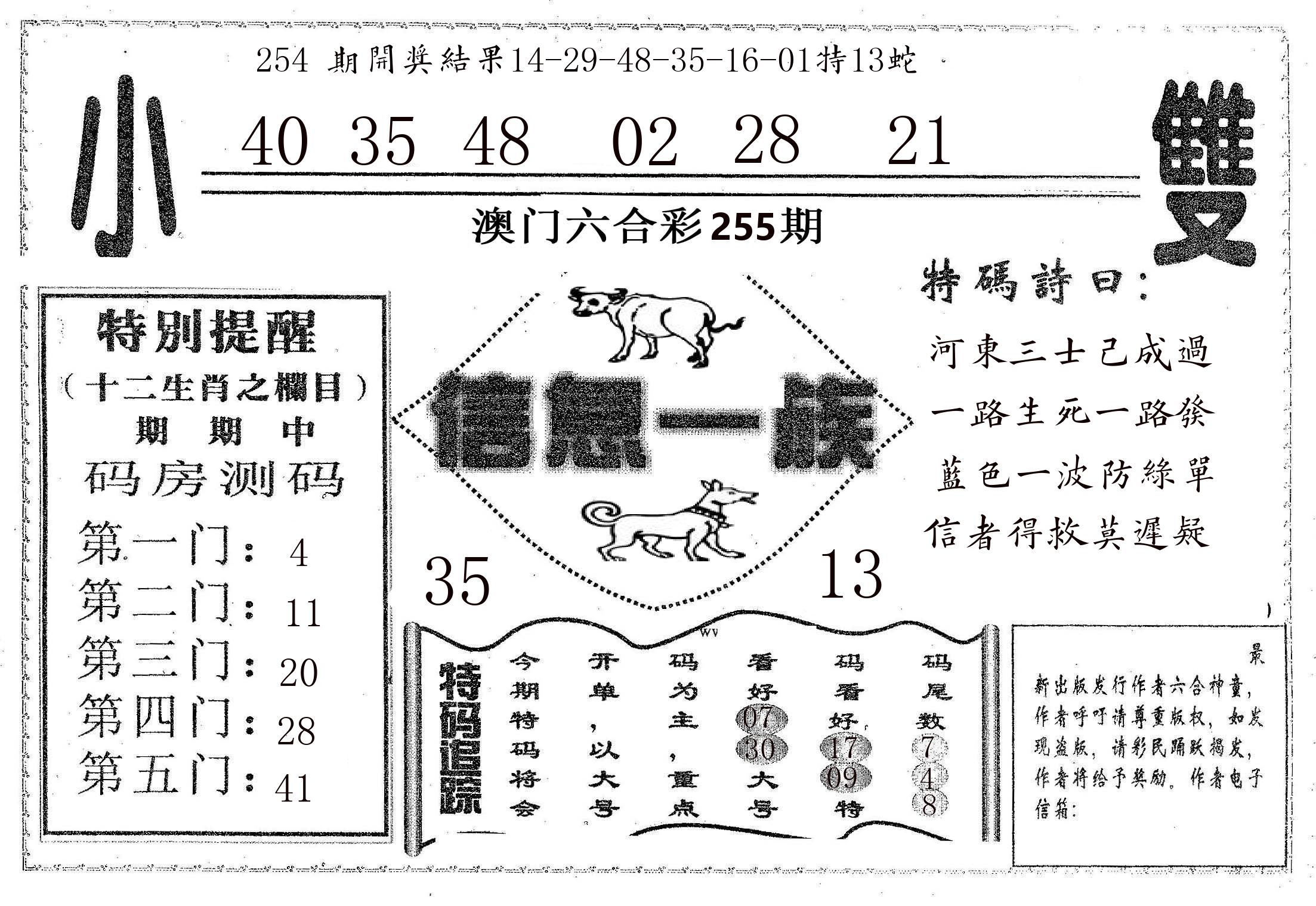 信息一族 第255期