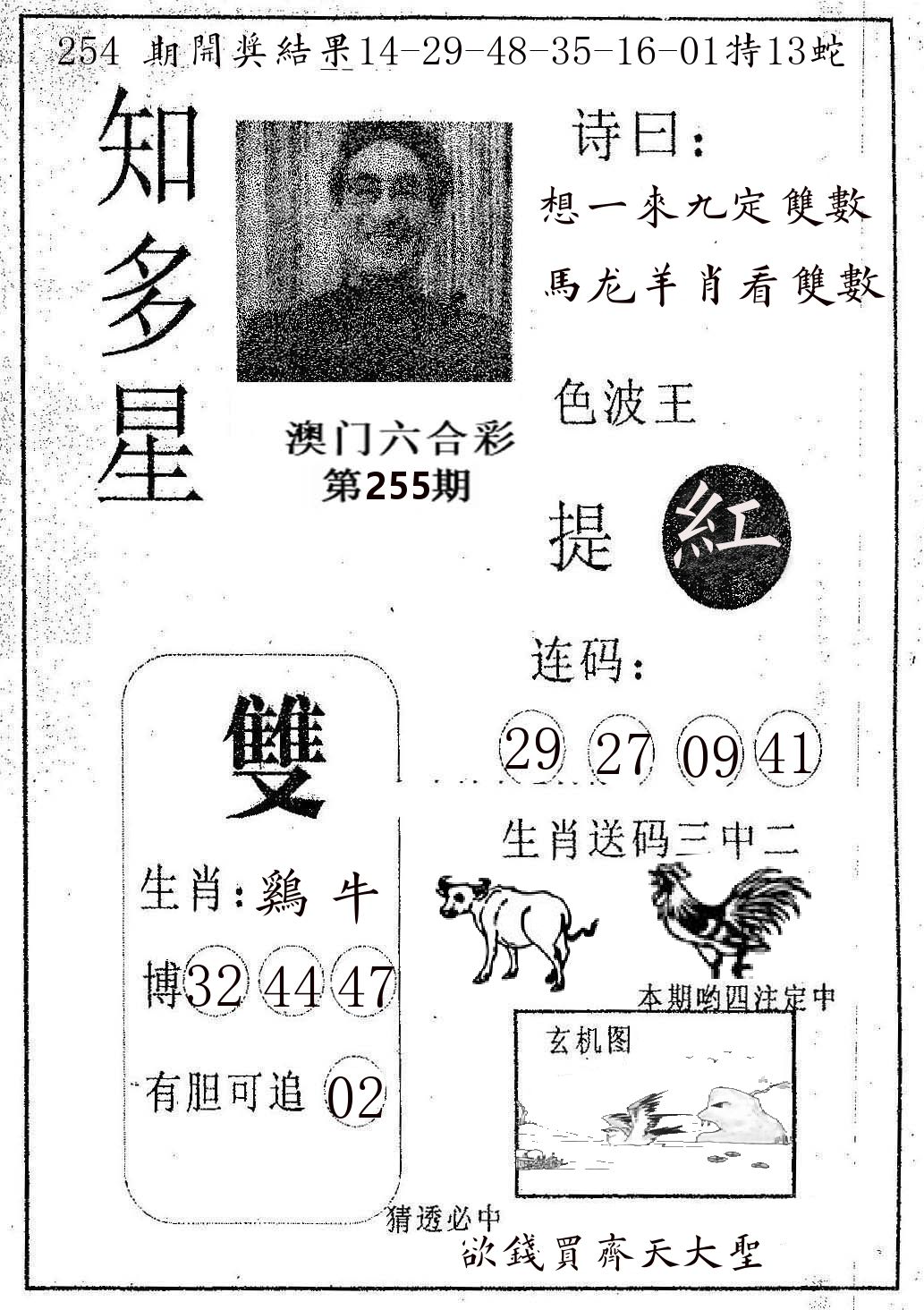 知多星 第255期
