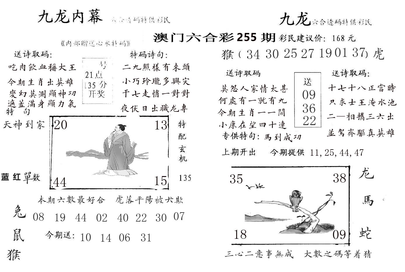 九龙内幕 第255期